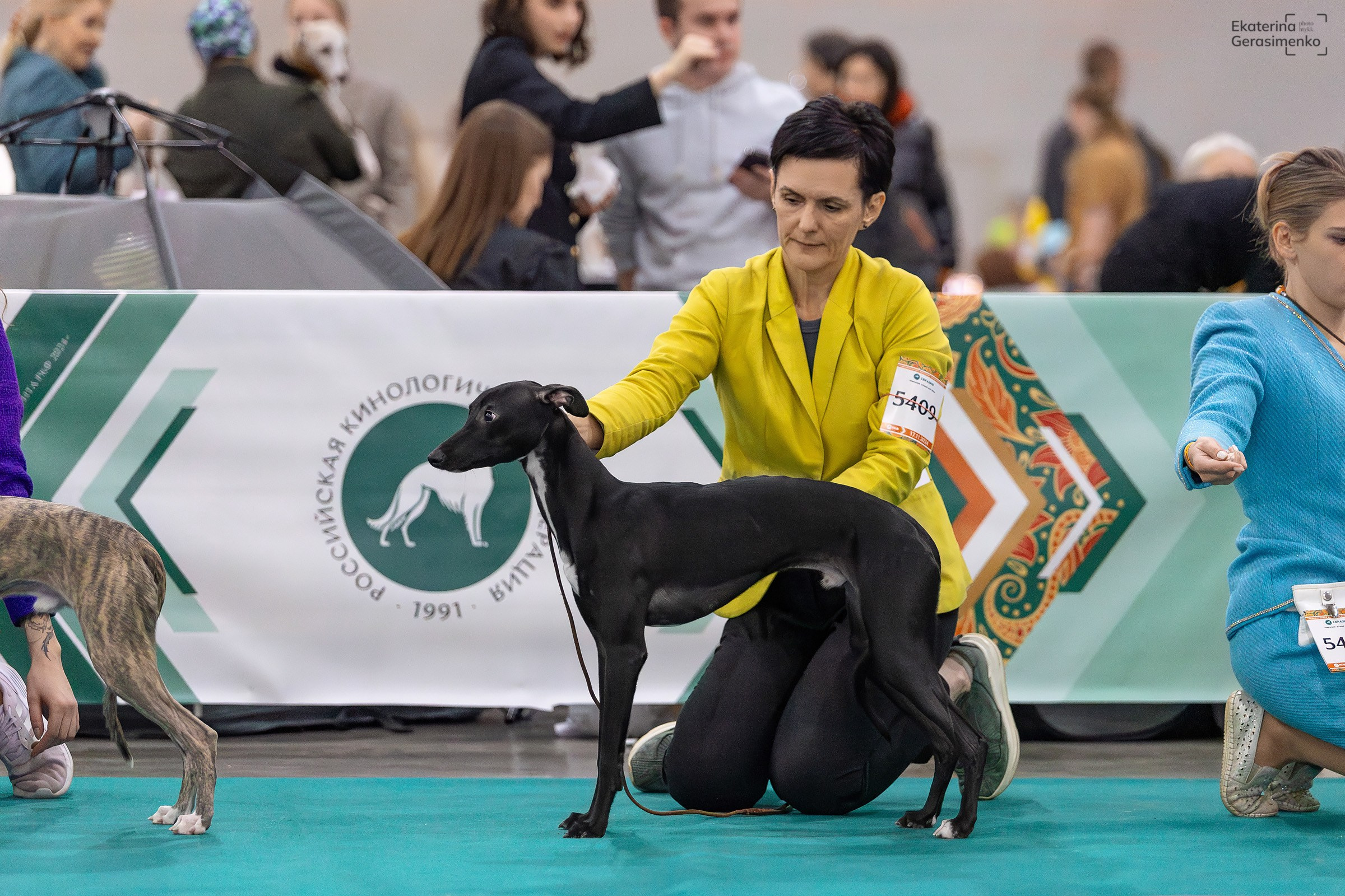 16–17 ноября 2024, Выставка ЕВРАЗИЯ, г. Москва. Htykk_photo