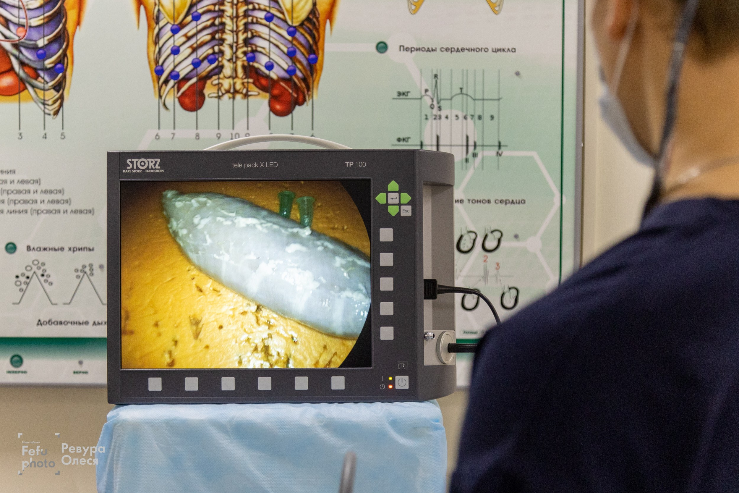 2-я Региональная олимпиада по хирургии. Репортажный и портретный фотограф в Владивостоке