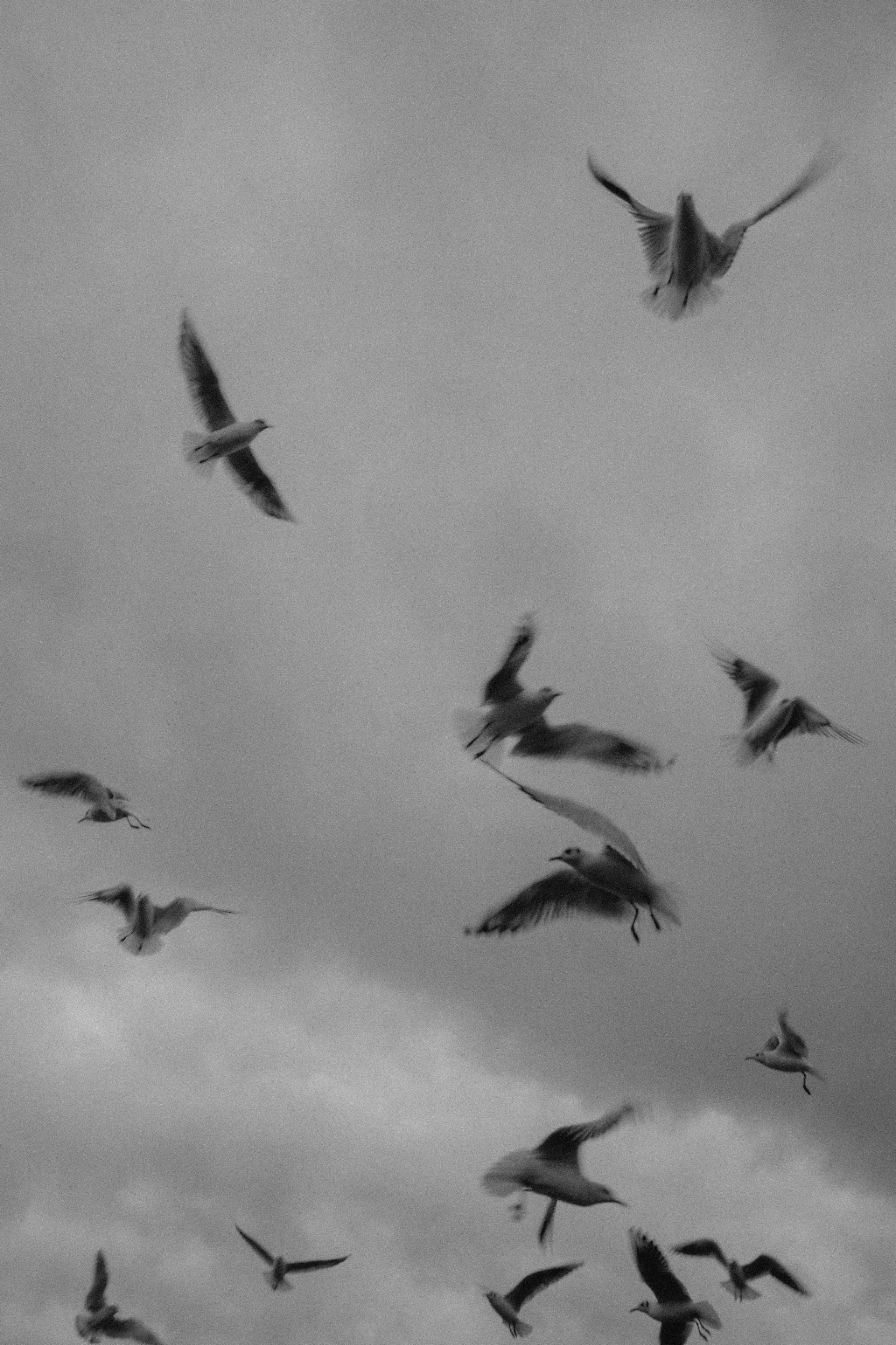 АБХАЗИЯ. ГЛАВНАЯ