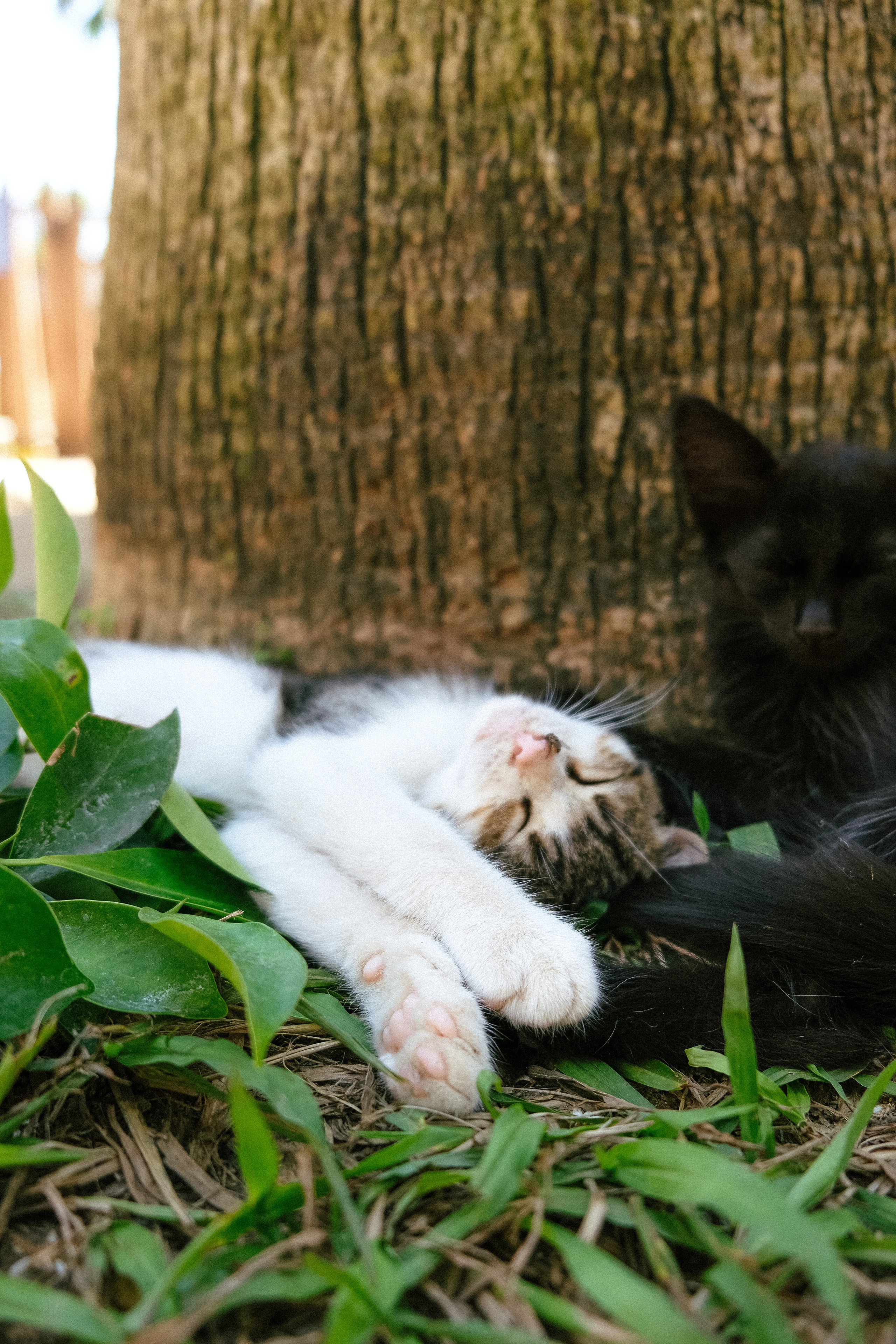 ТУРЦИЯ. ГЛАВНАЯ