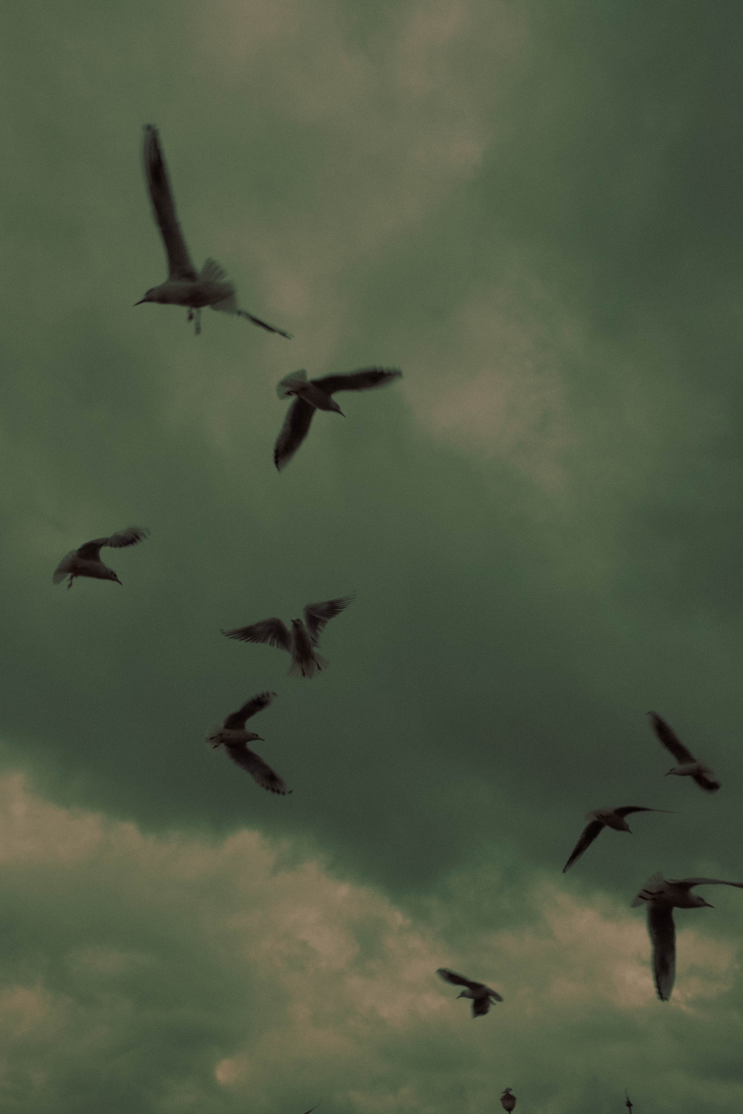 АБХАЗИЯ. ГЛАВНАЯ