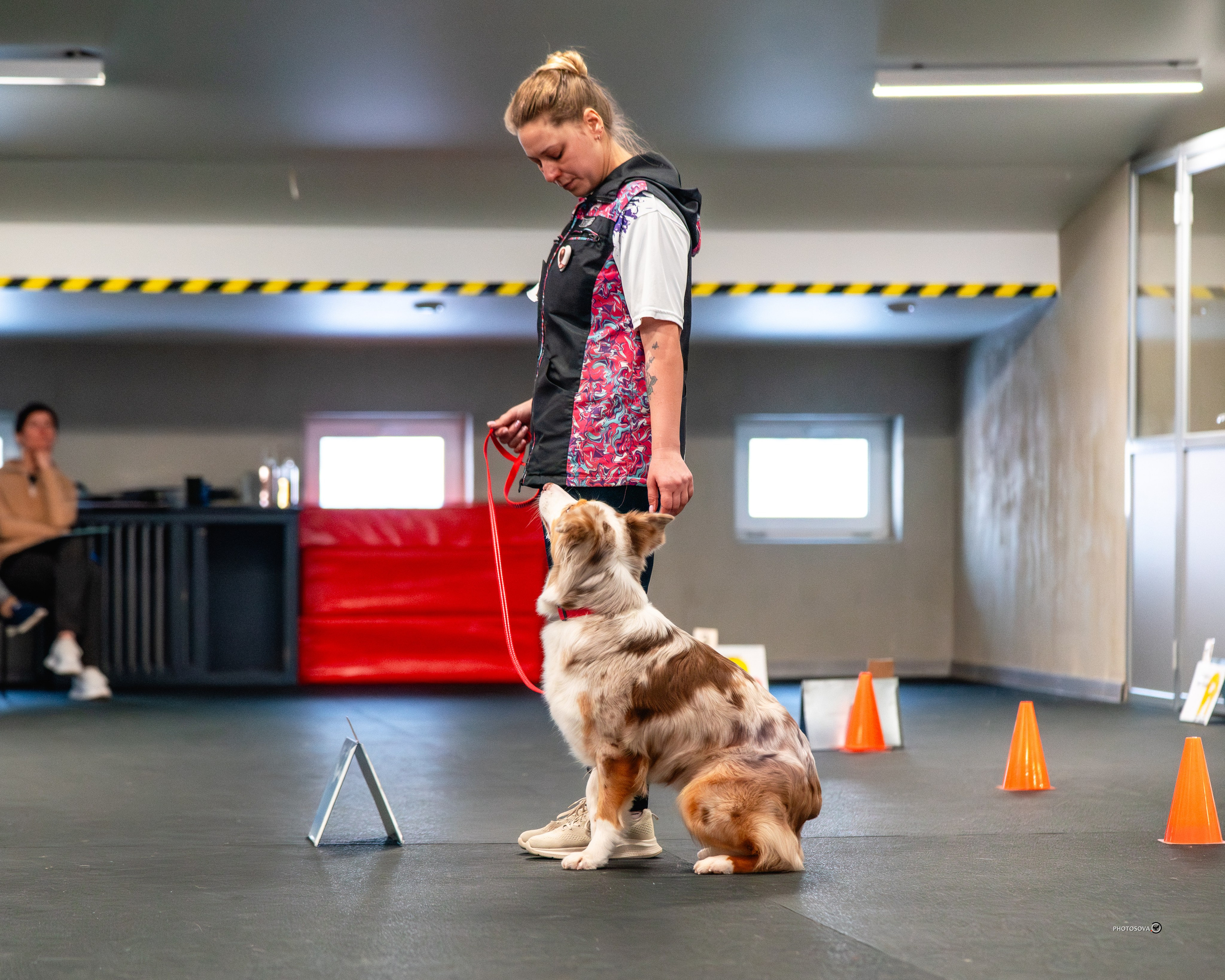 ТЫ И Я (соревнования по ралли-обидиенс). Фотограф-анималист, семейный фотограф в Москве и Подмосковье. Фотосъёмка кинологических дисциплин
