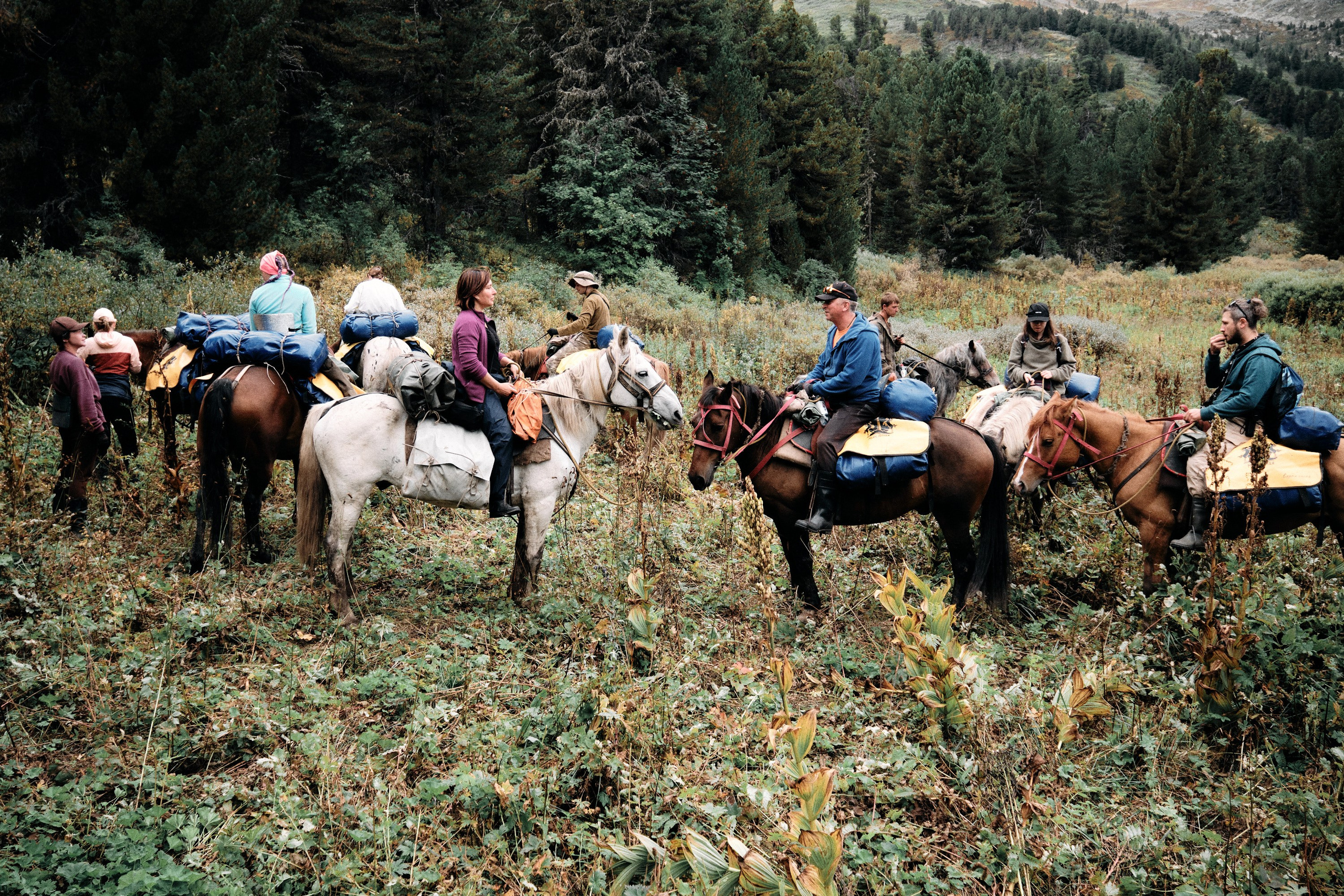 Алтай. Юрий Березнюк. Фотожурналистика