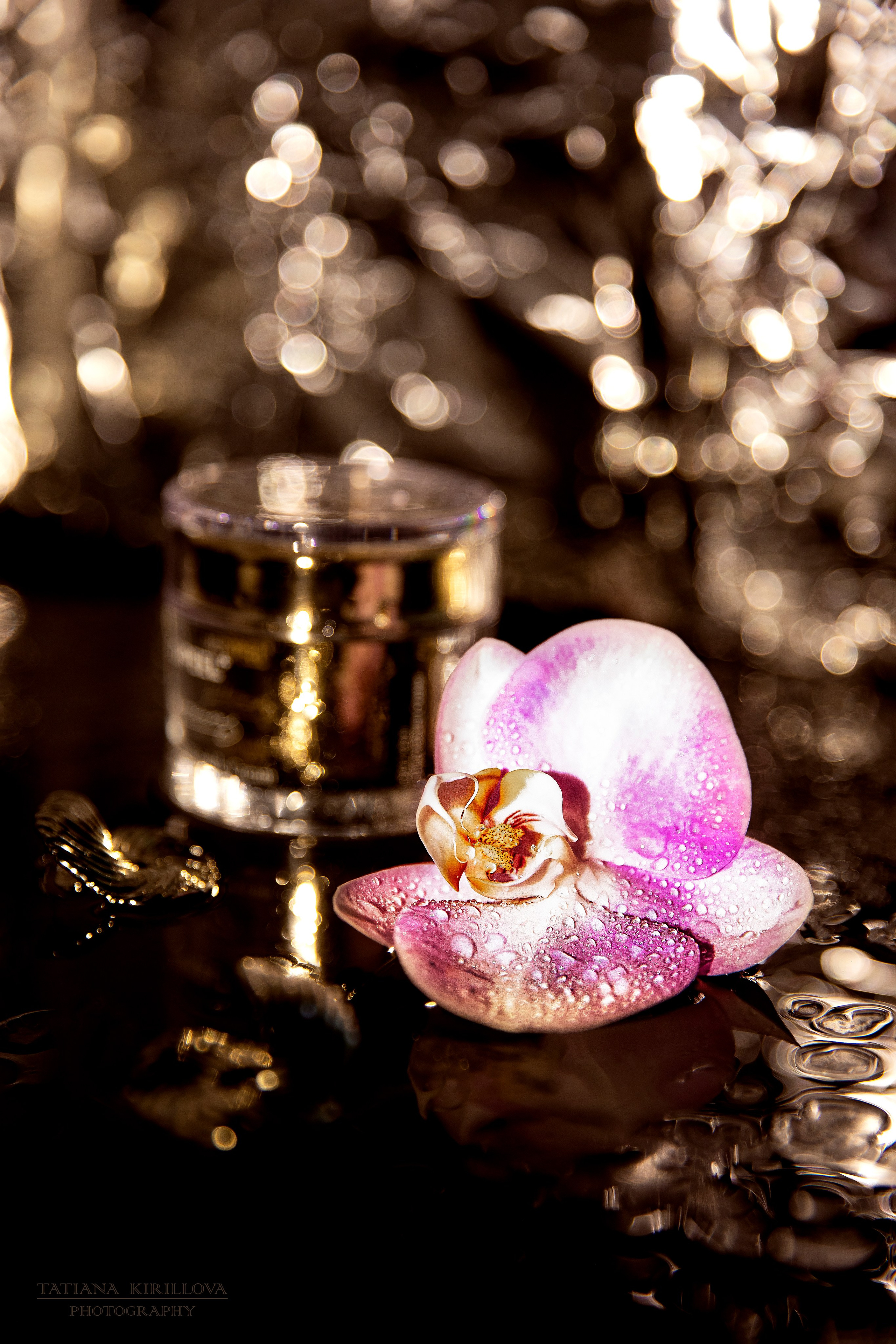 Предметная съемка, цветы, открытки. Фотограф — Татьяна Кириллова, г. Санкт-Петербург