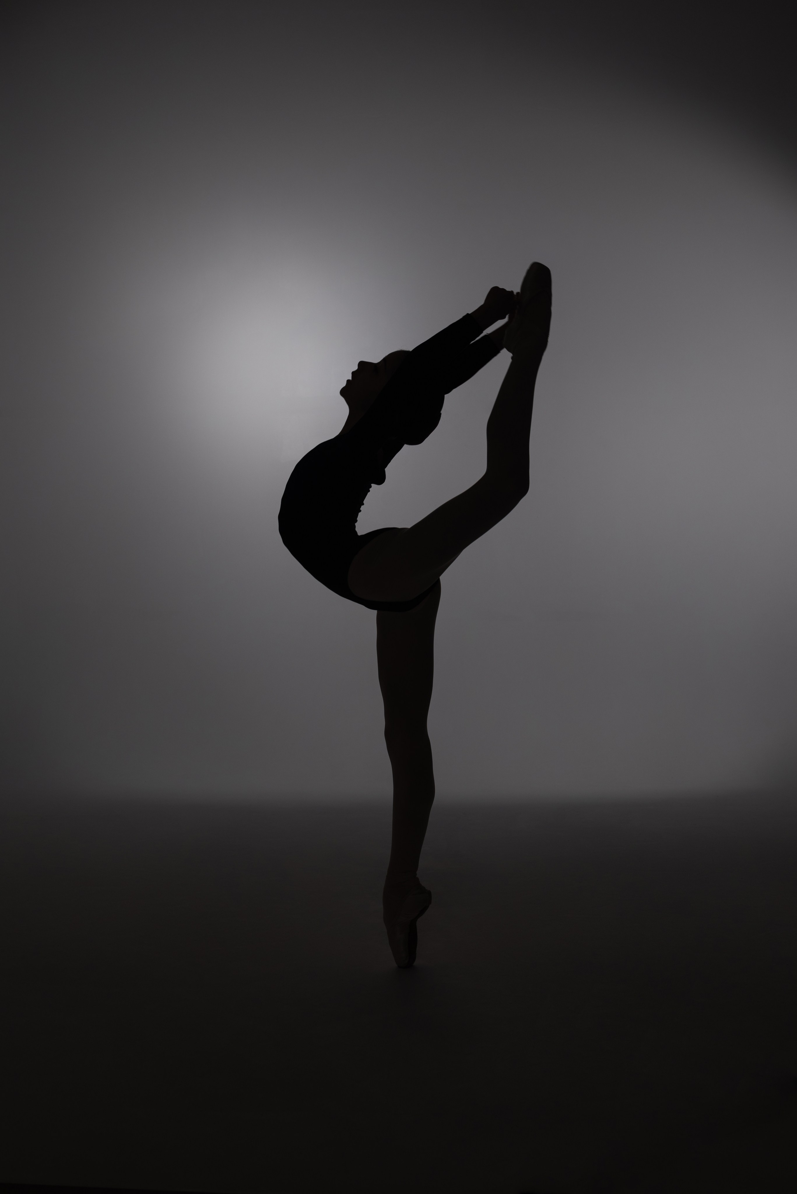 Балерины. Свадебный и семейный фотограф в Дзержинске Екатерина Шулакова