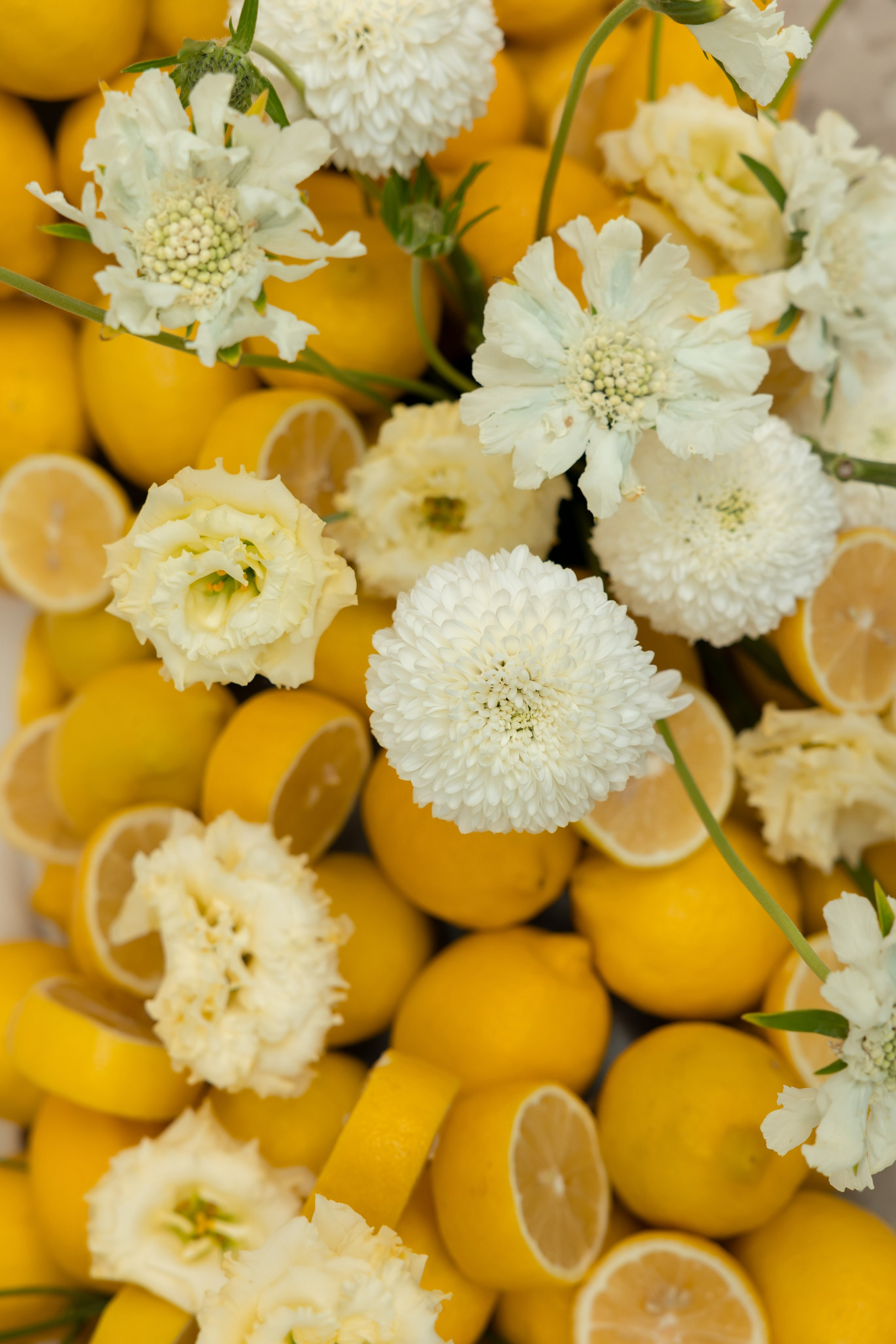 Александр & Алина. Обо мне