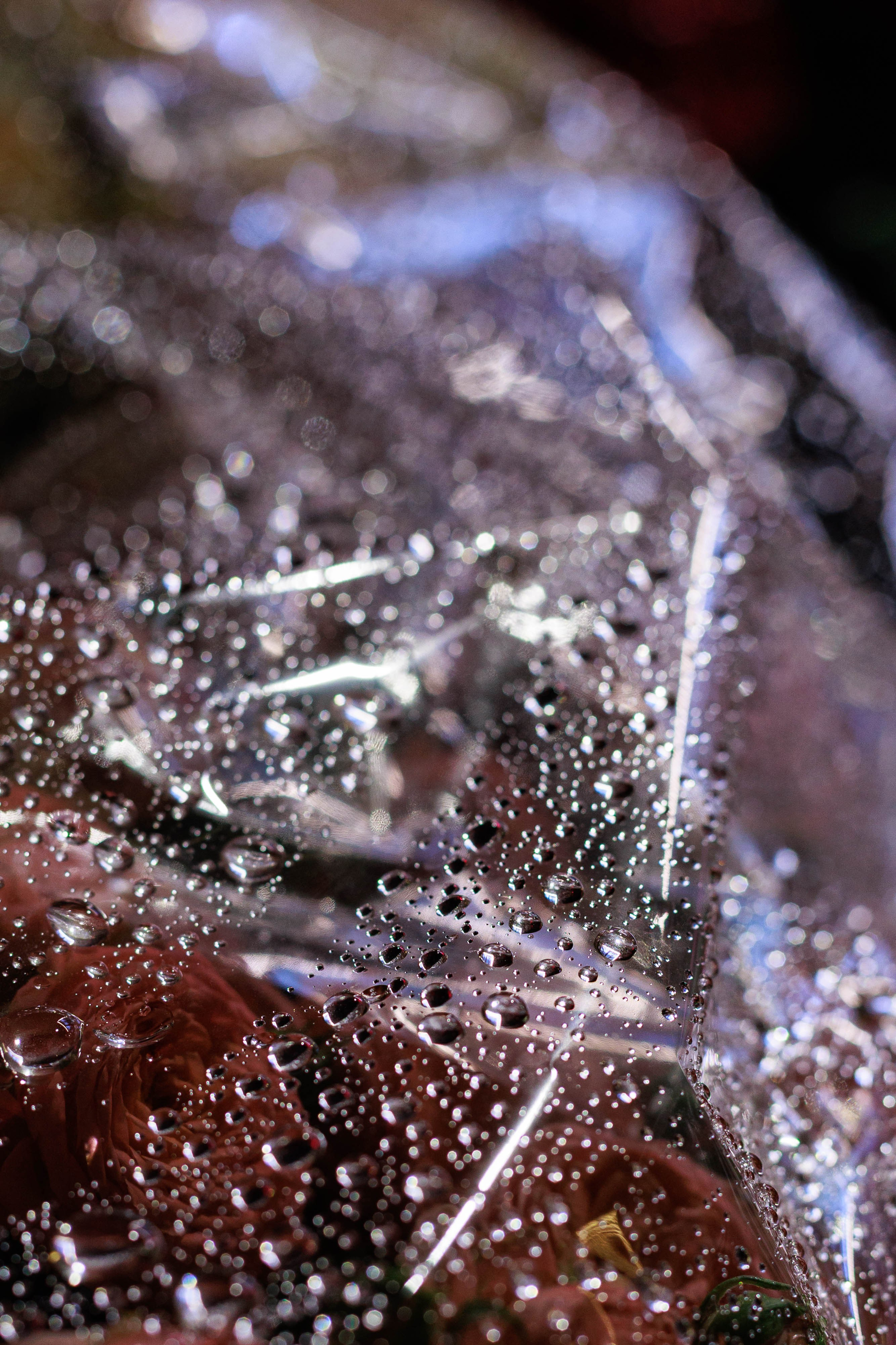 Redisson. Репортажный, портретный и контентный фотограф Каширина Лилия Москва