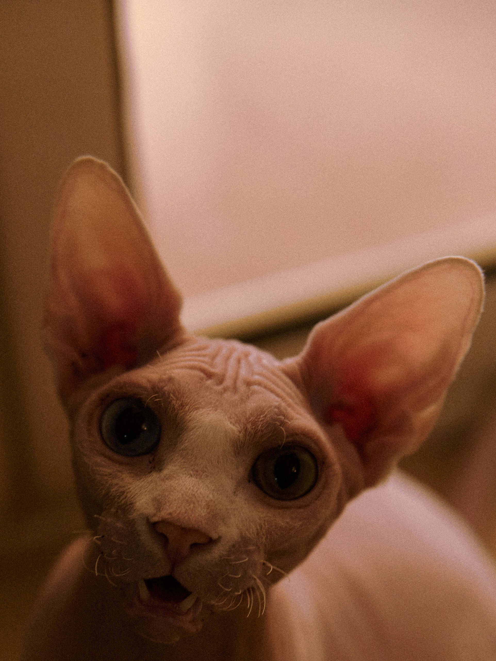 Диптих. Jorgis — фотограф в Хургаде / обучение фотографии