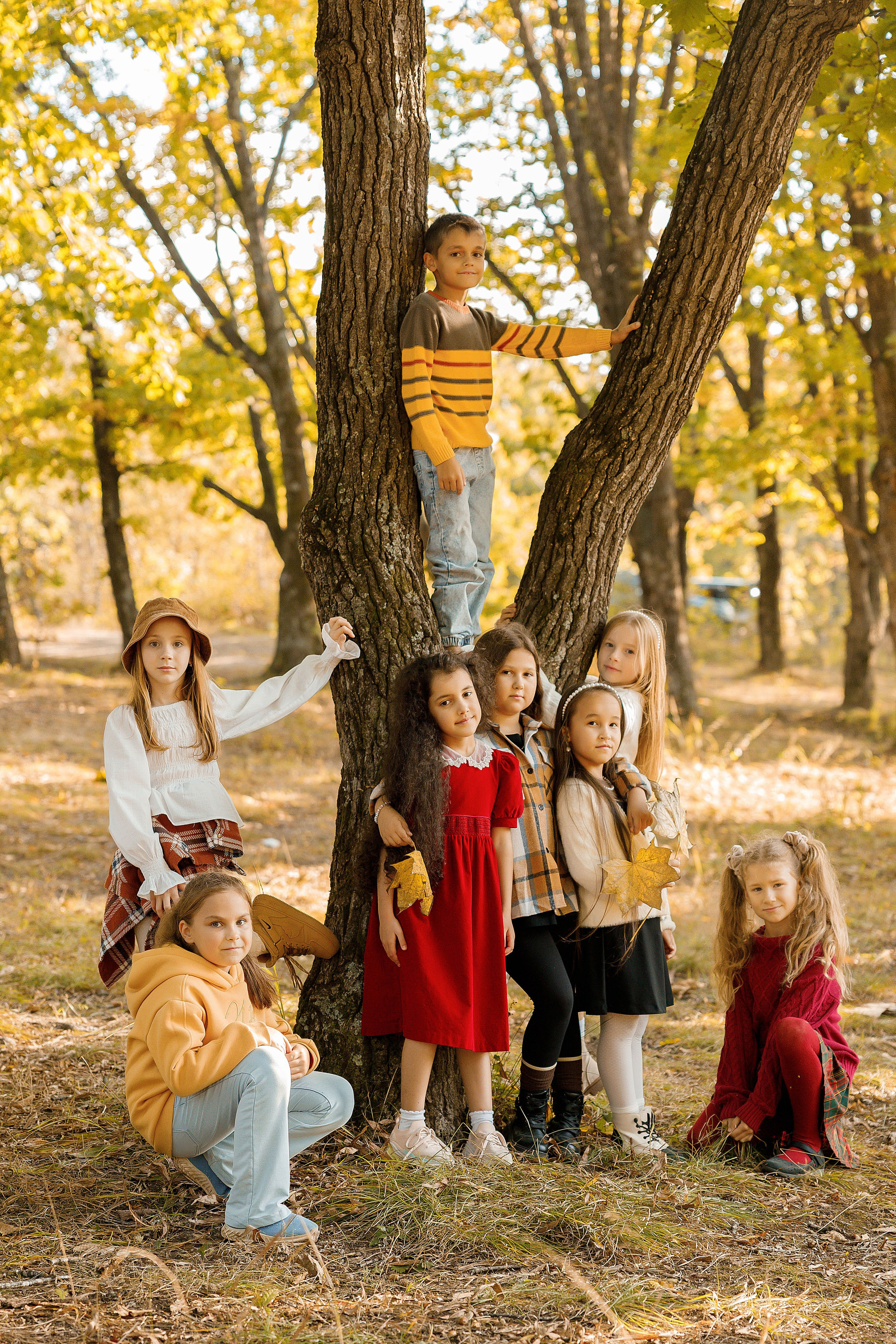 Осень Гимназия 2 класс. Photoalbum-vl.ru