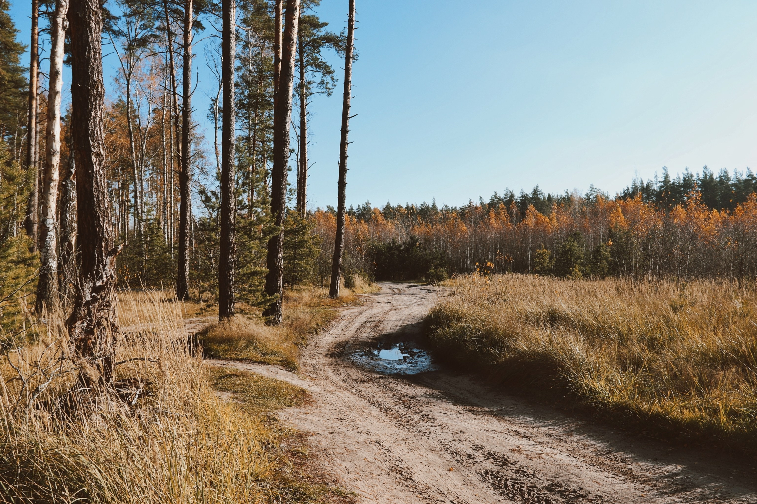 По тропе Паустовского. С любовью, фотохудожник