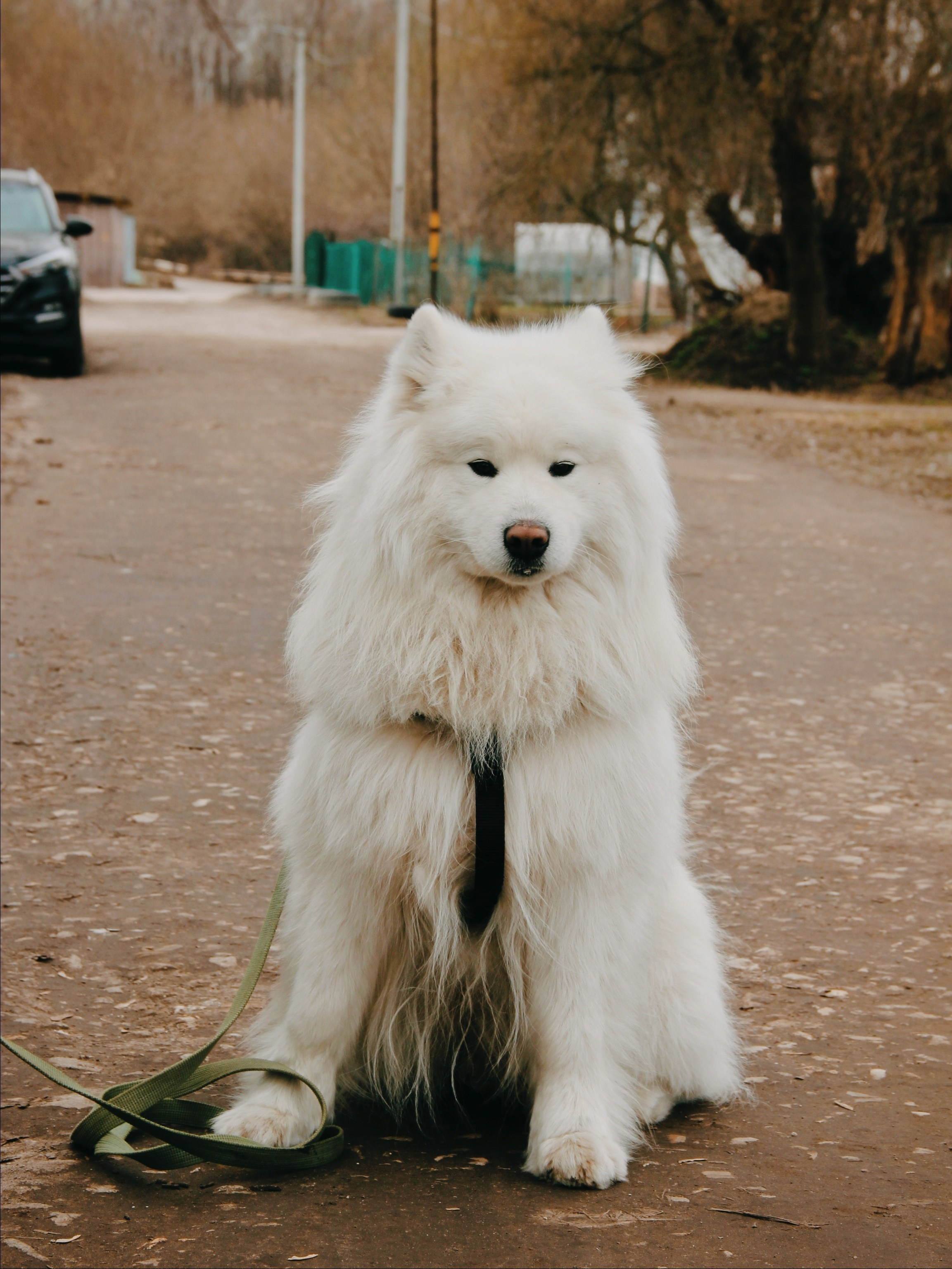 Уличные модели. С любовью, фотохудожник