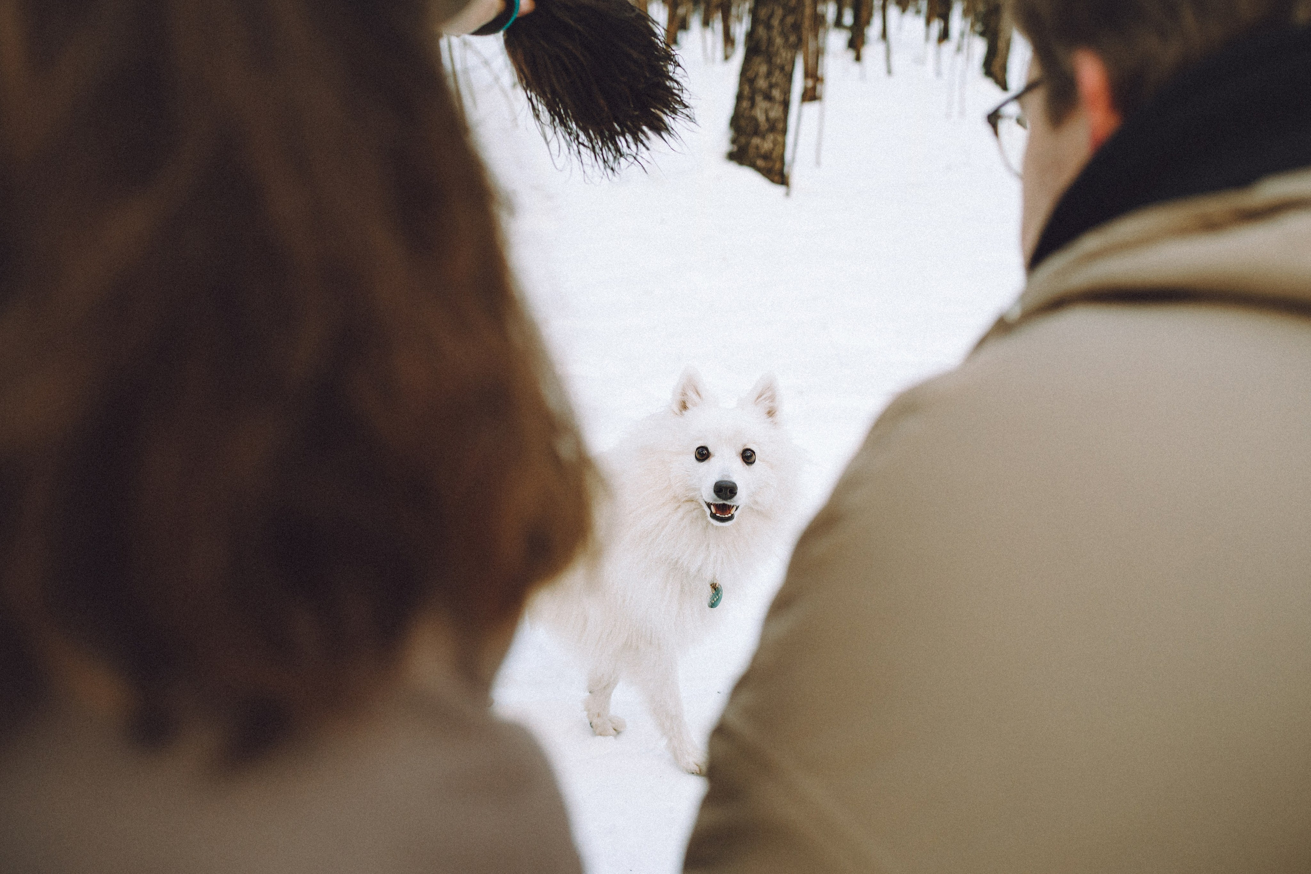 Шани и ее семья