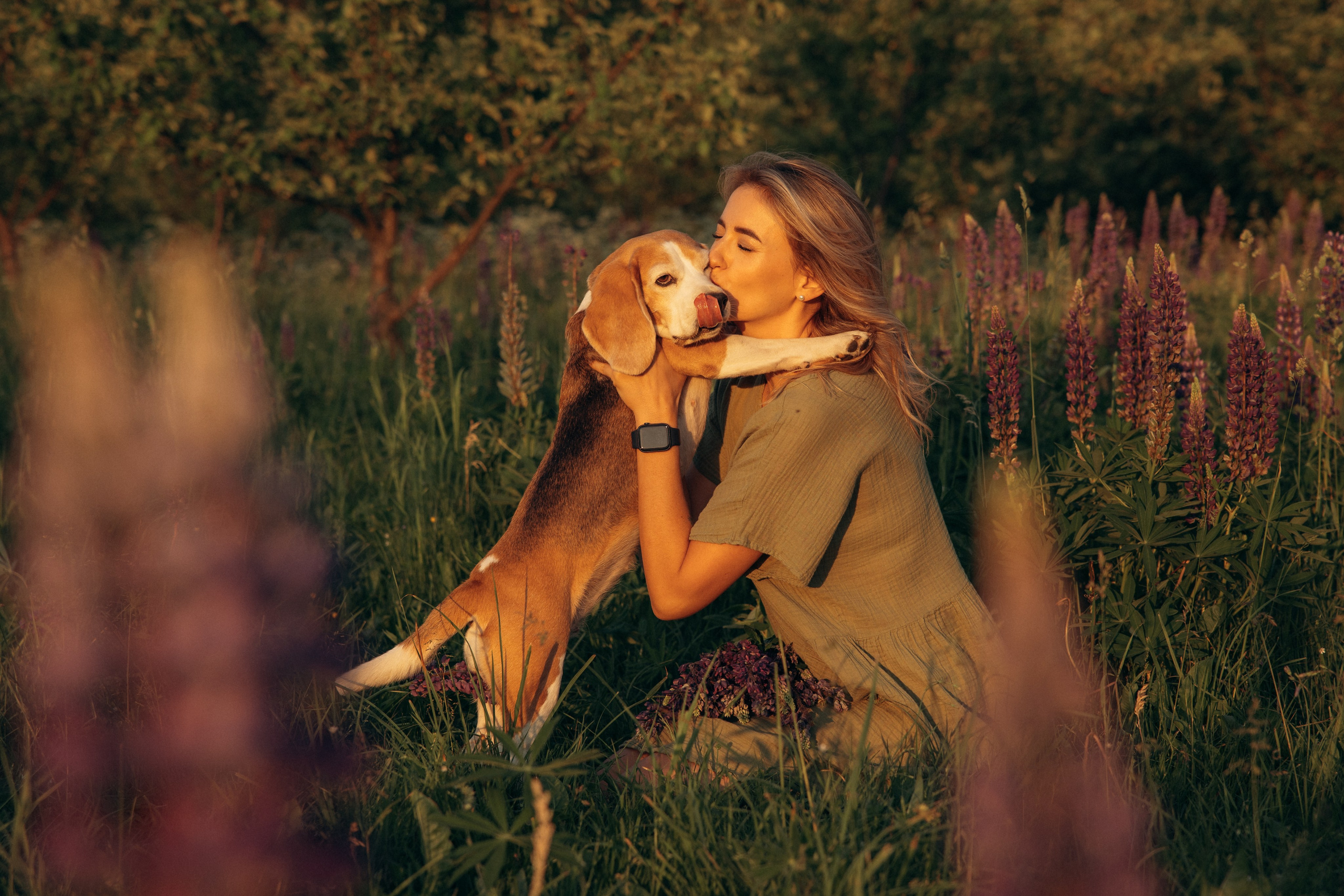 Кристина и Нора. На закате дня. Фотограф анималист в Казани Алина Сулейманова. Фотограф животных