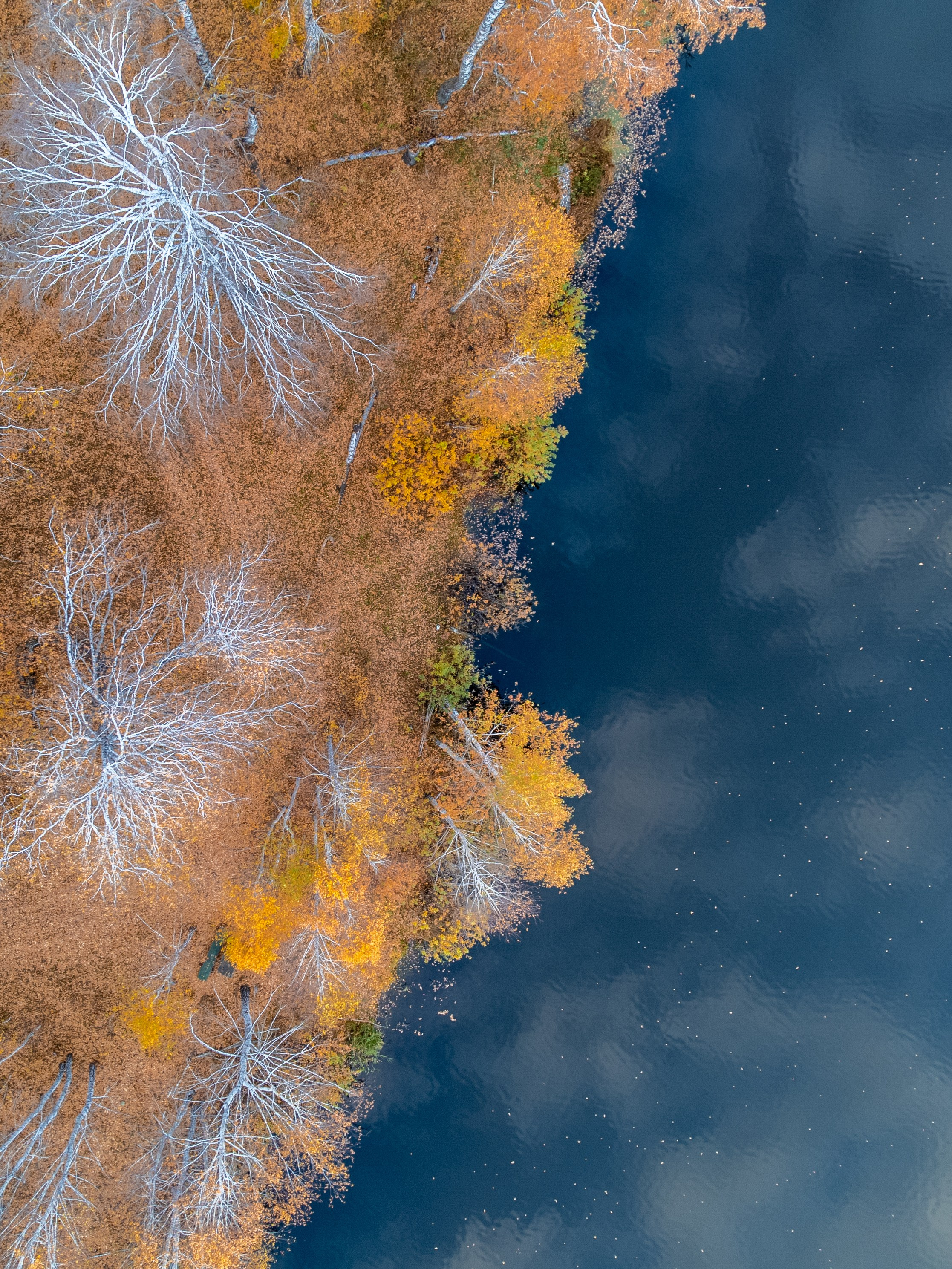 Курганская область. Daria wanderer photography