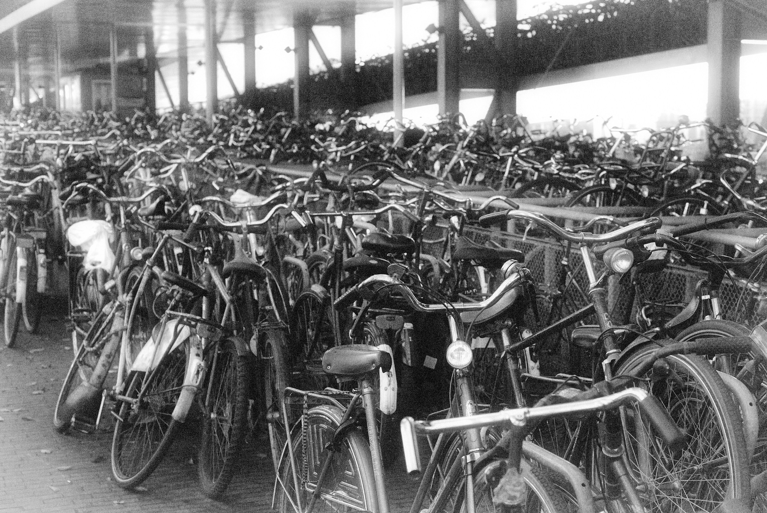 Осень. Пейзажный и предметный фотограф в Санкт-Петербурге Александр Богданов