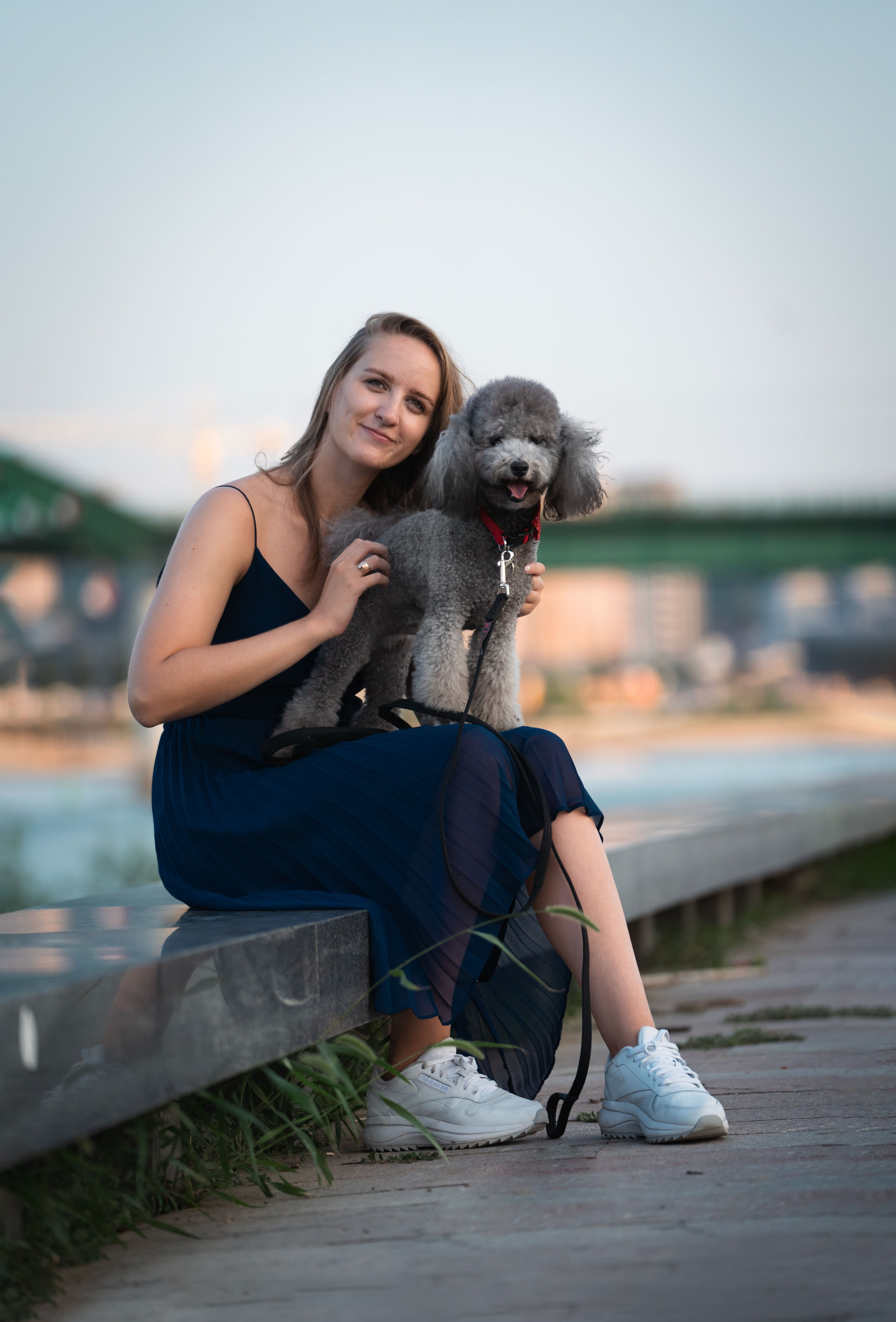 В Белграде на набережной. Фотограф анималист