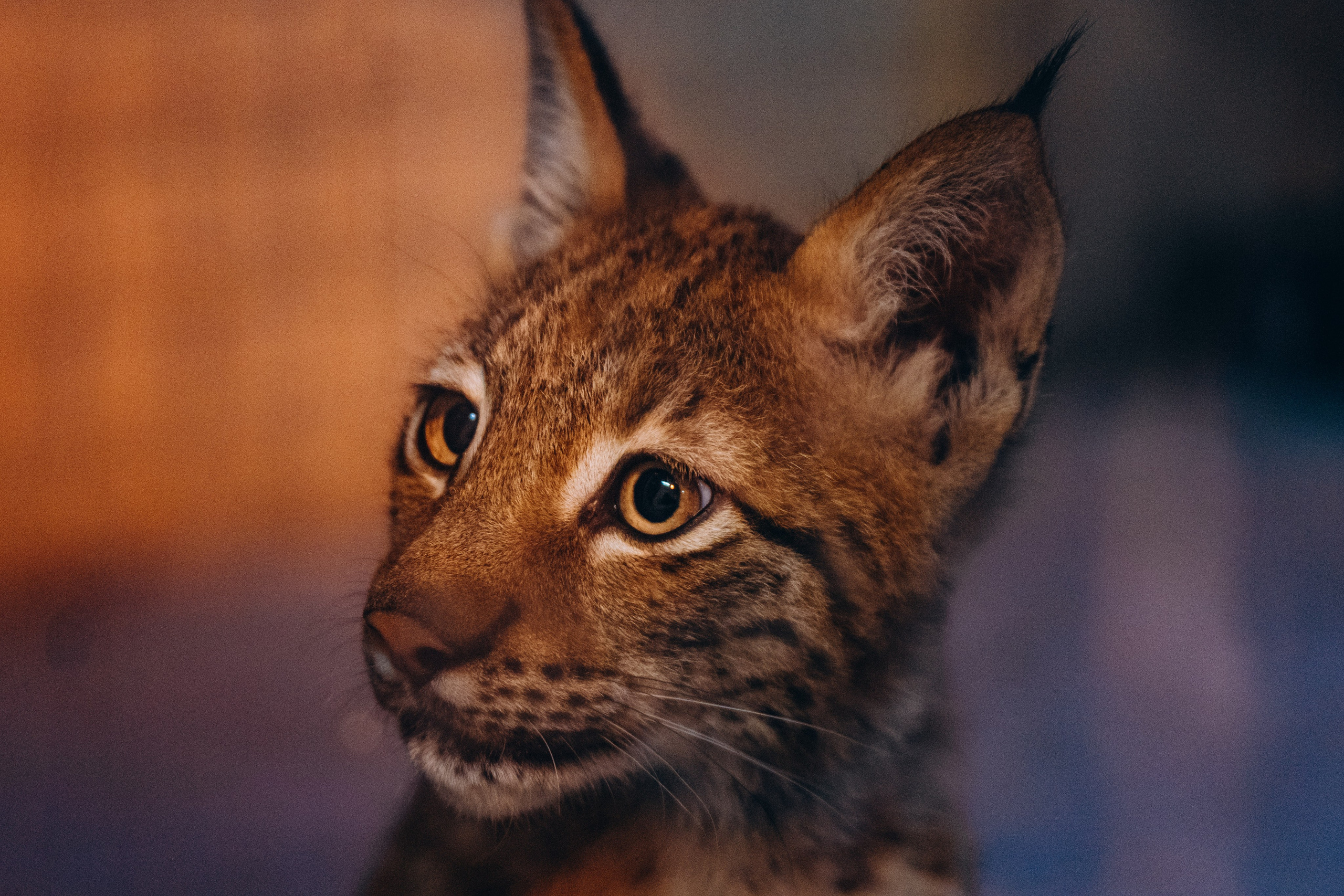 СЕВЕР. Event фотограф Степанова Александра