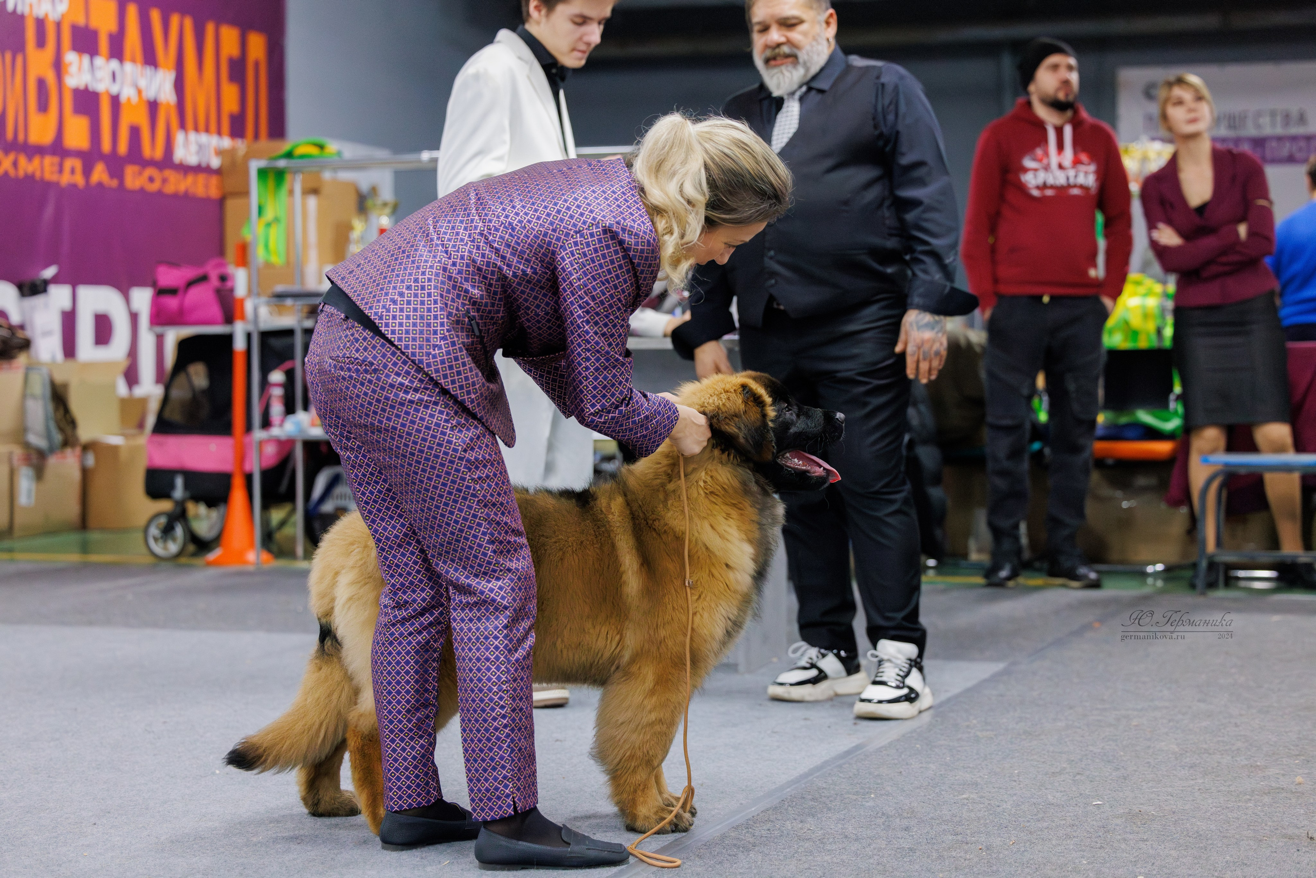 Крокус 21.12.2024,Сфера 29.12.2024. Фотограф-анималист Юлия Германика