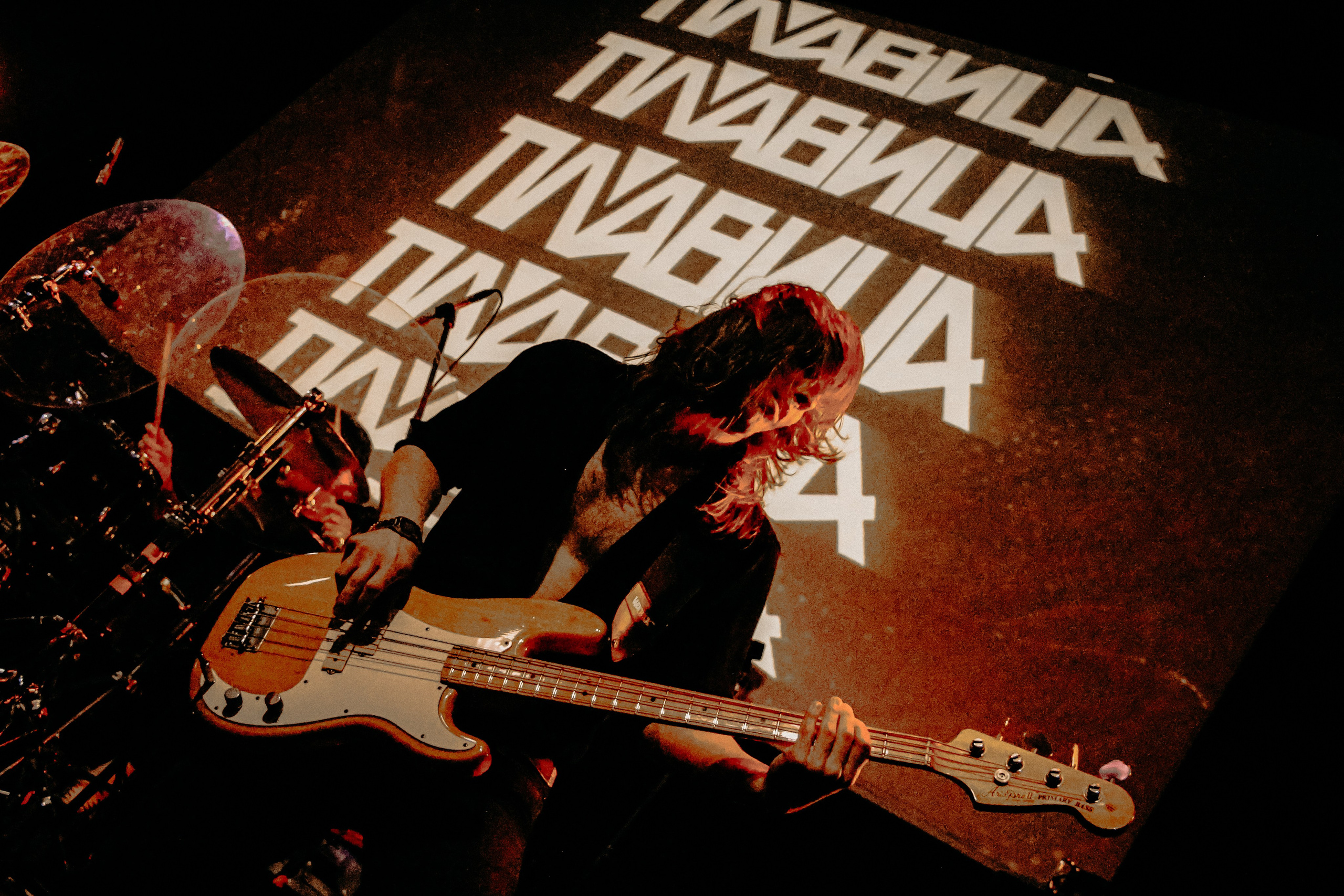 ПЛАВИЦА | ЛАСТОЧКА. Фотограф из Петербурга Софи Веритас Концерты и портреты