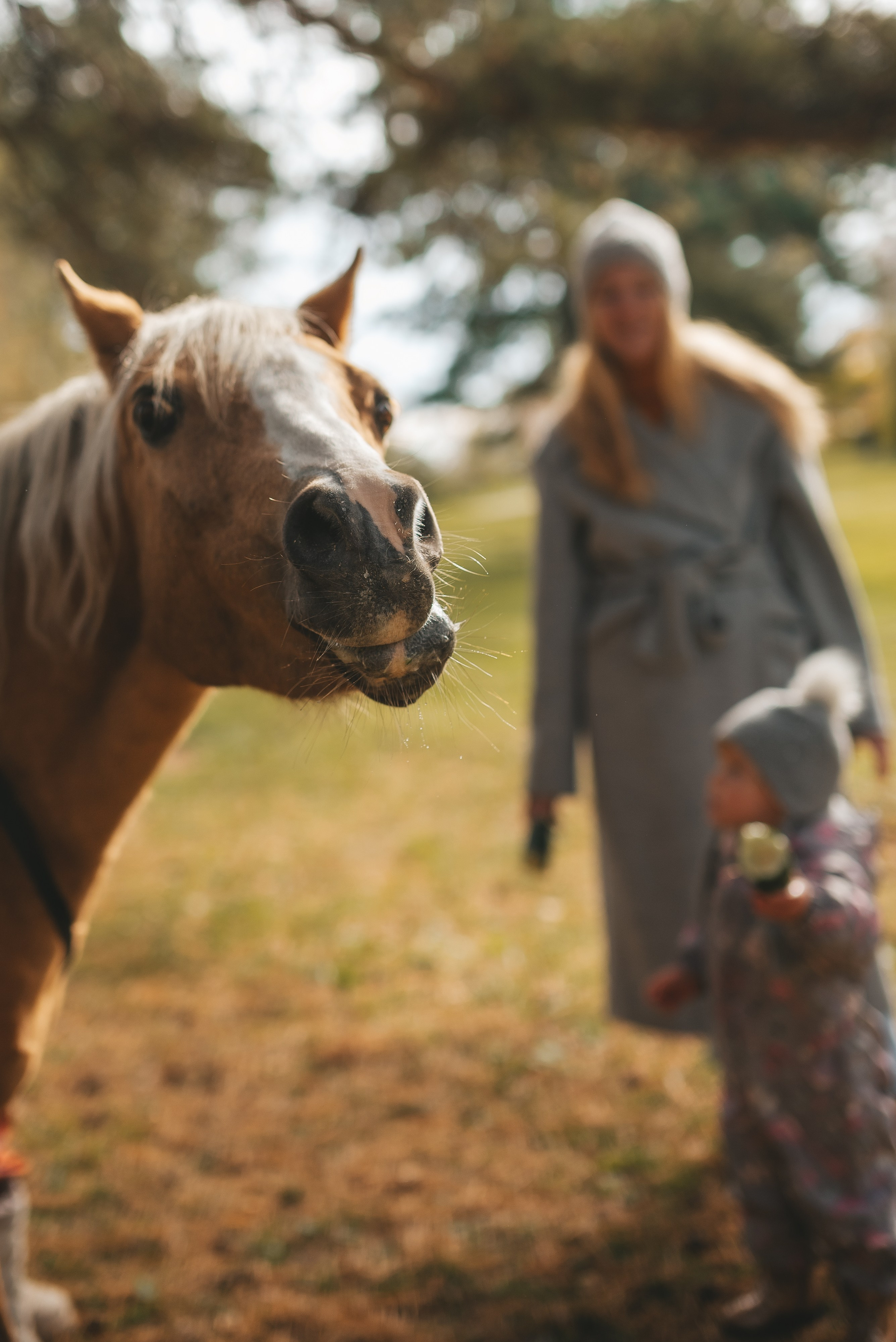 Фотосессия для Иры. Семейная фотосессия в Новосибирске от фотографа Ольги Коваль