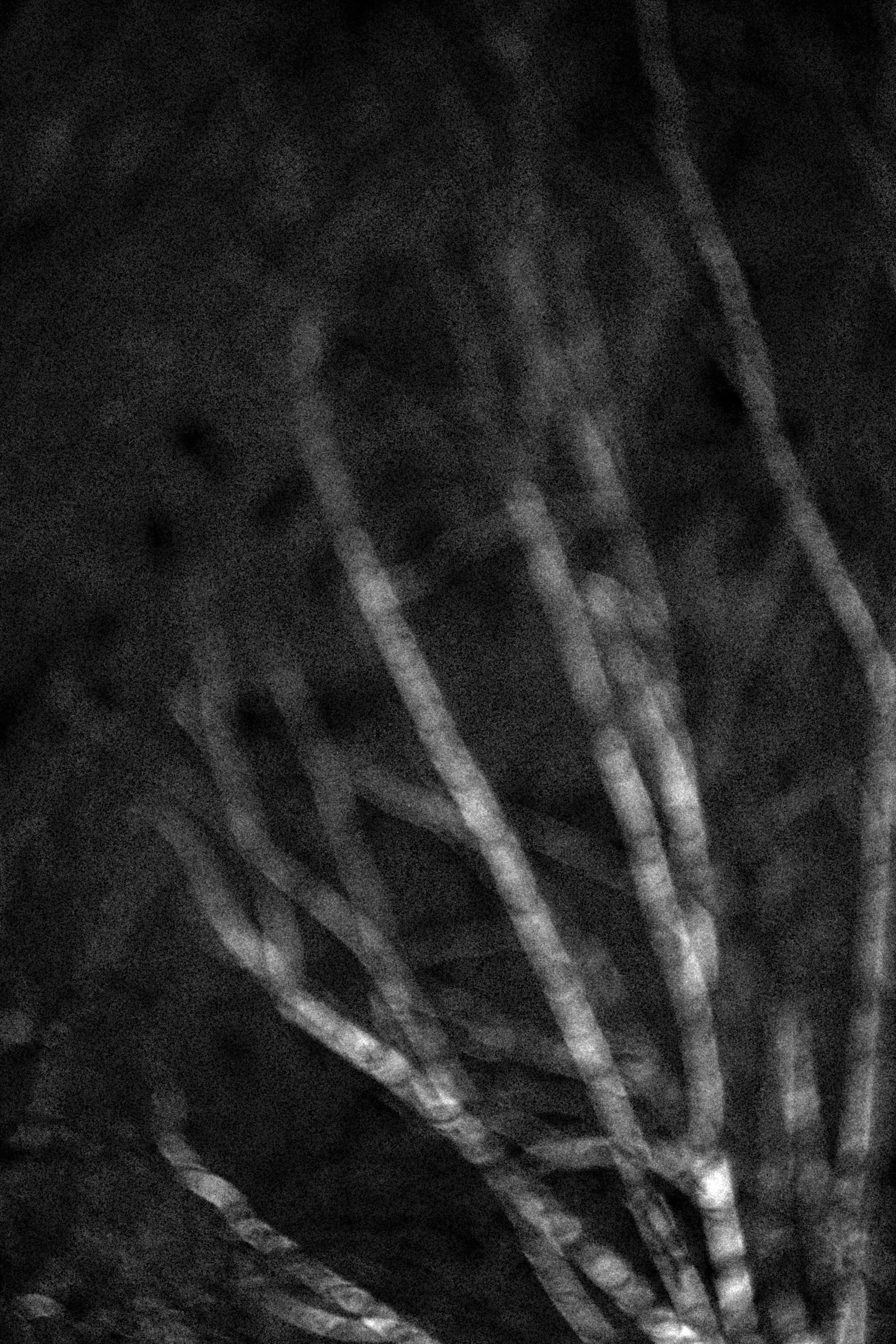 Город Н. Предание о руинах: АРХИВ ПУСТОТЫ