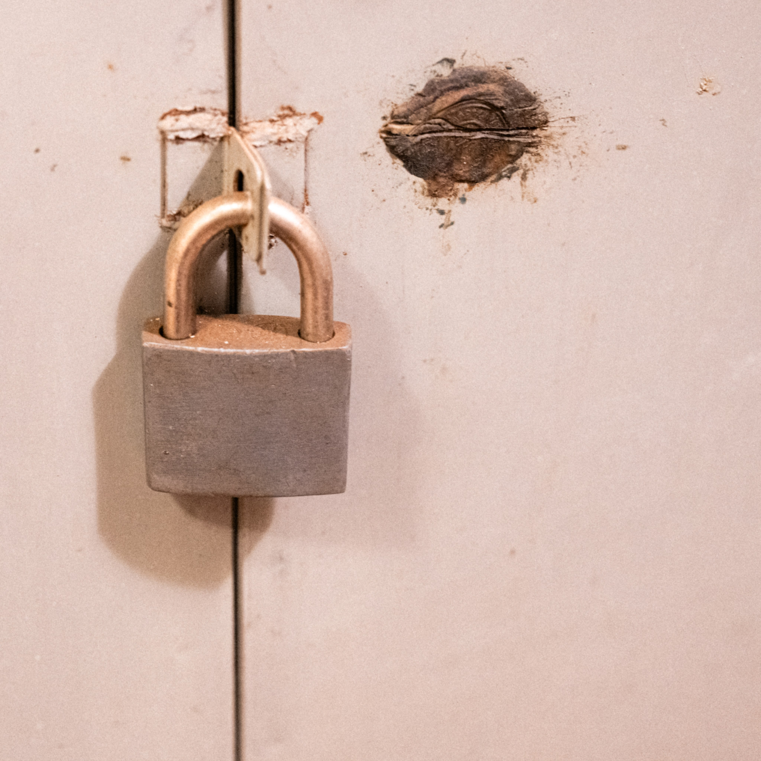 Свобода и мир. Творения свободного художника