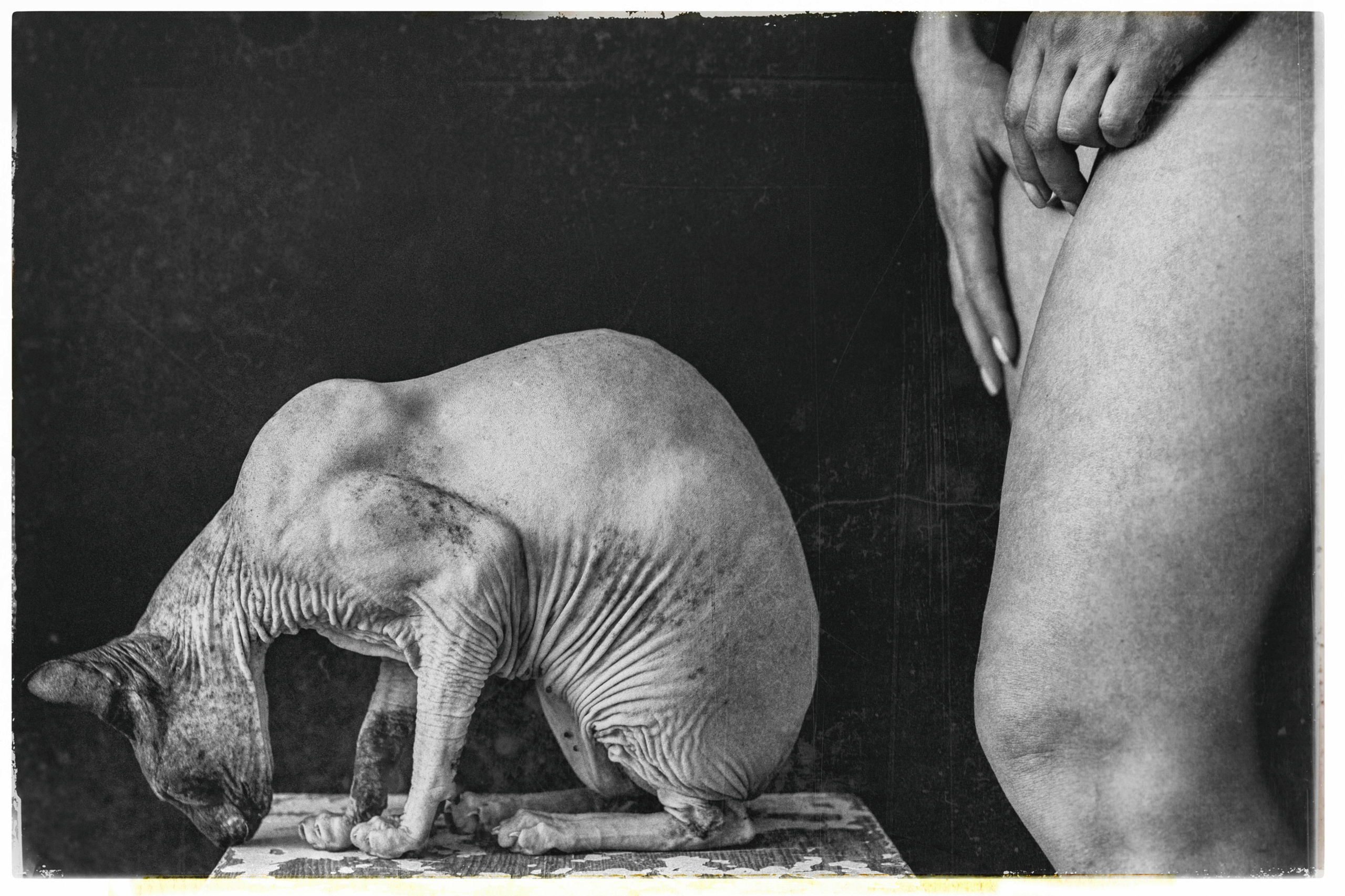 Фотограф людей в Красноярске. Татьяна Вишневская