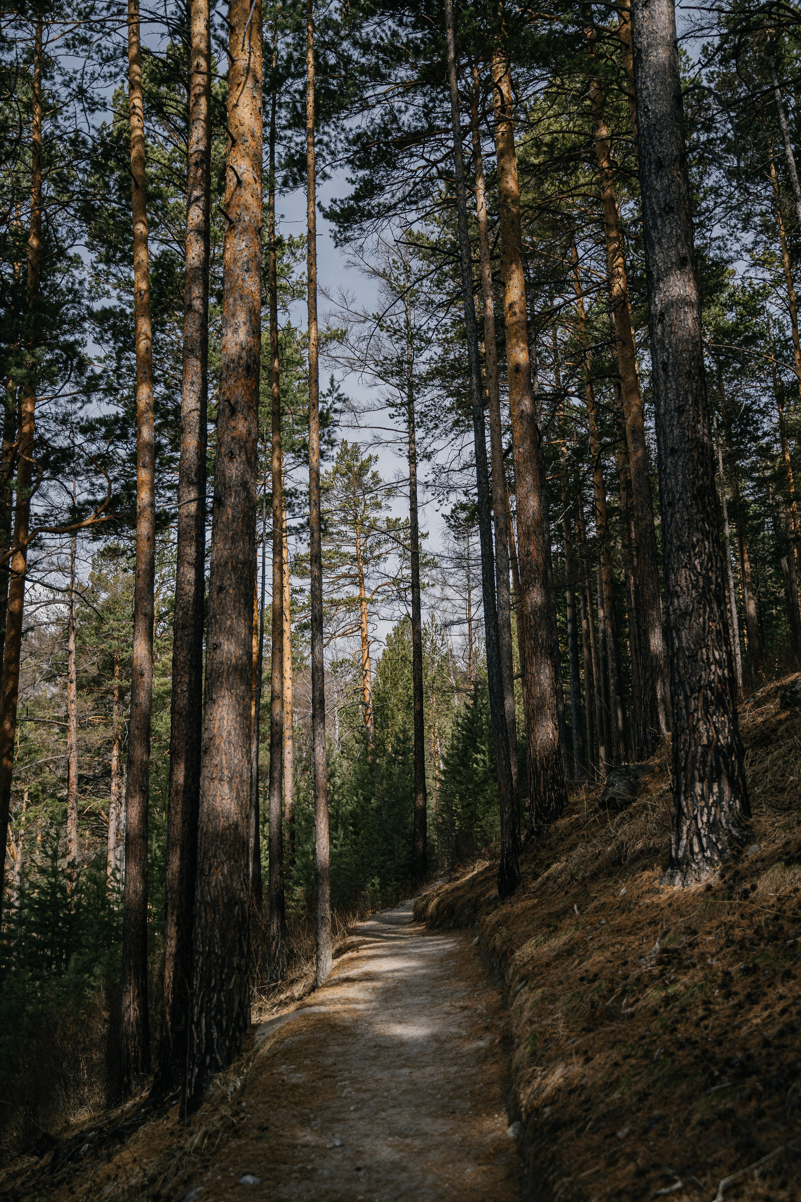 Бурятия, Аршан 2024. Фотограф Ольга Пучкова