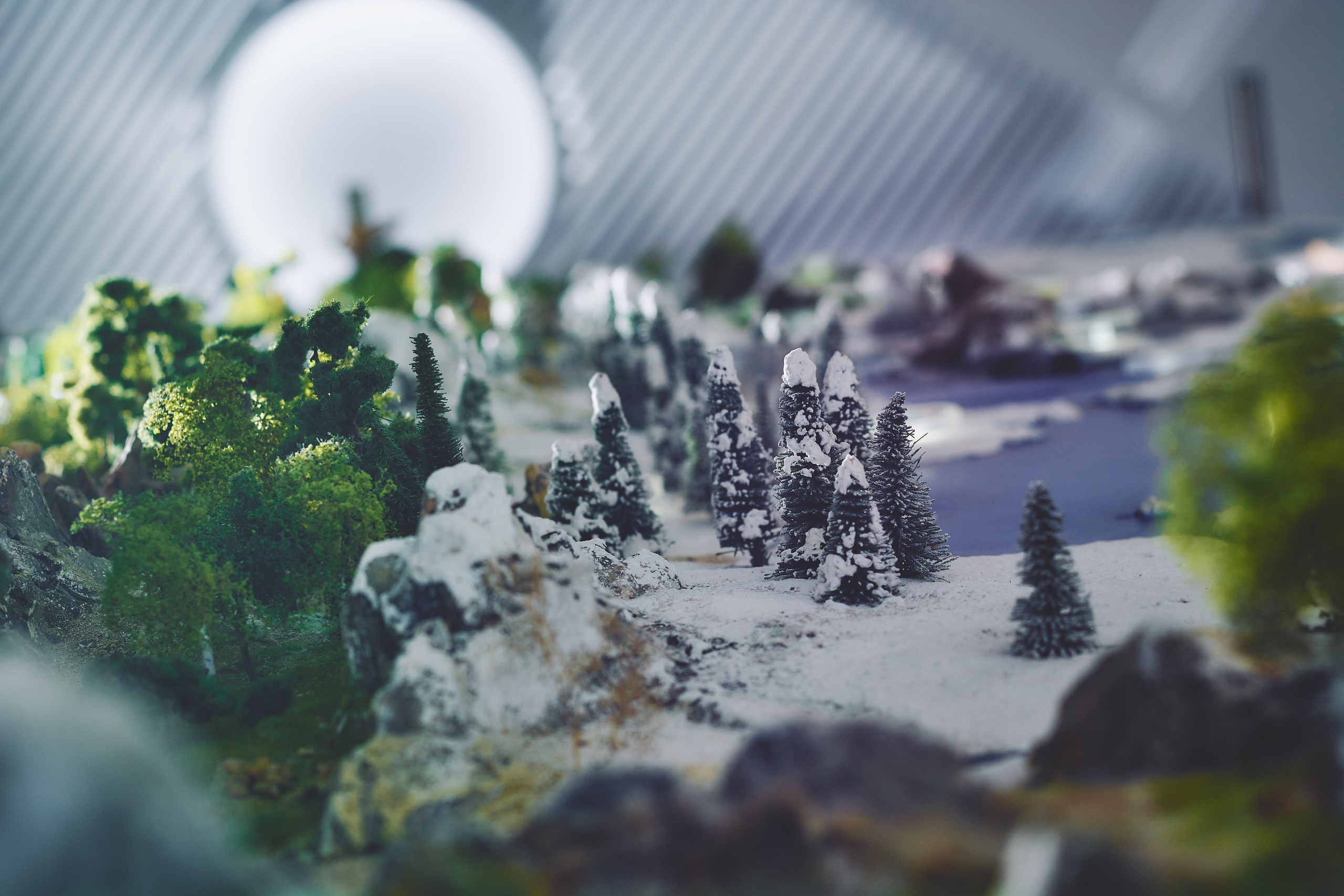 Интерьерная съемка Визит-центр Национальный парк «Кисловодский». Константин Кордонский | Интерьерный и food-фотограф в Кисловодске и КМВ