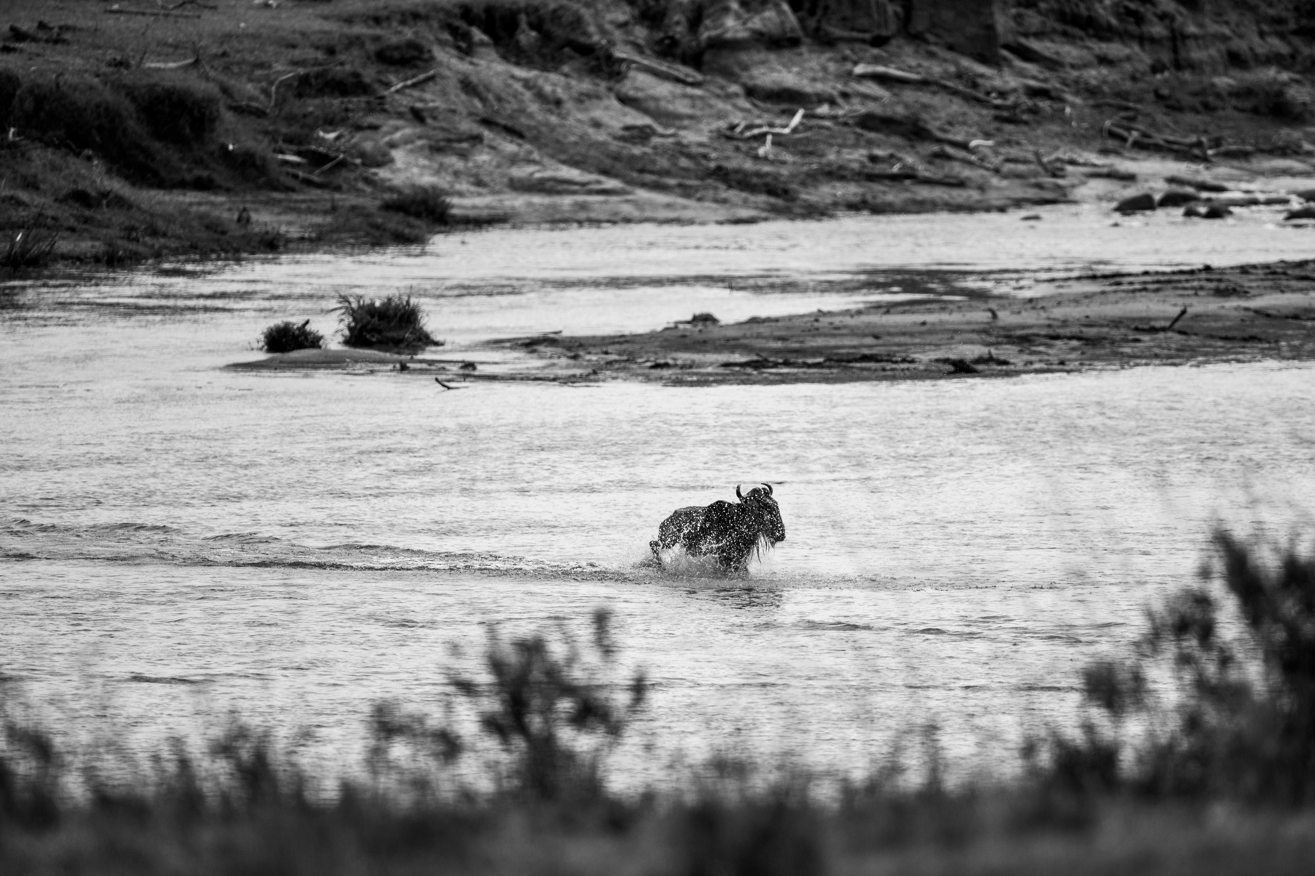 Танзания. Добродеева Алла фотограф, Москва