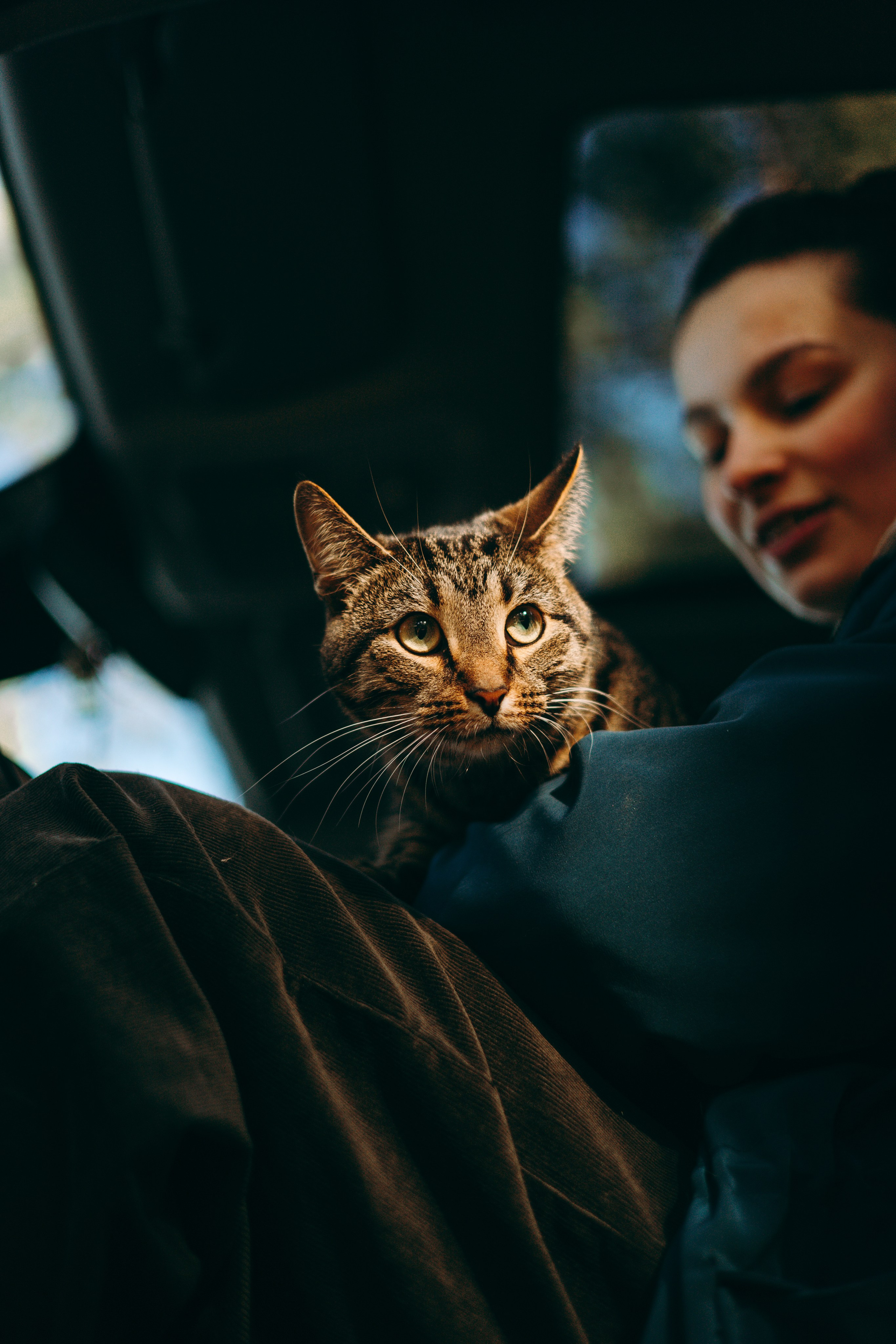 Настя & Айрис. Их глаза-как два огонька в ночи. Фотограф — анималист •love-story•|Санкт-Петербург