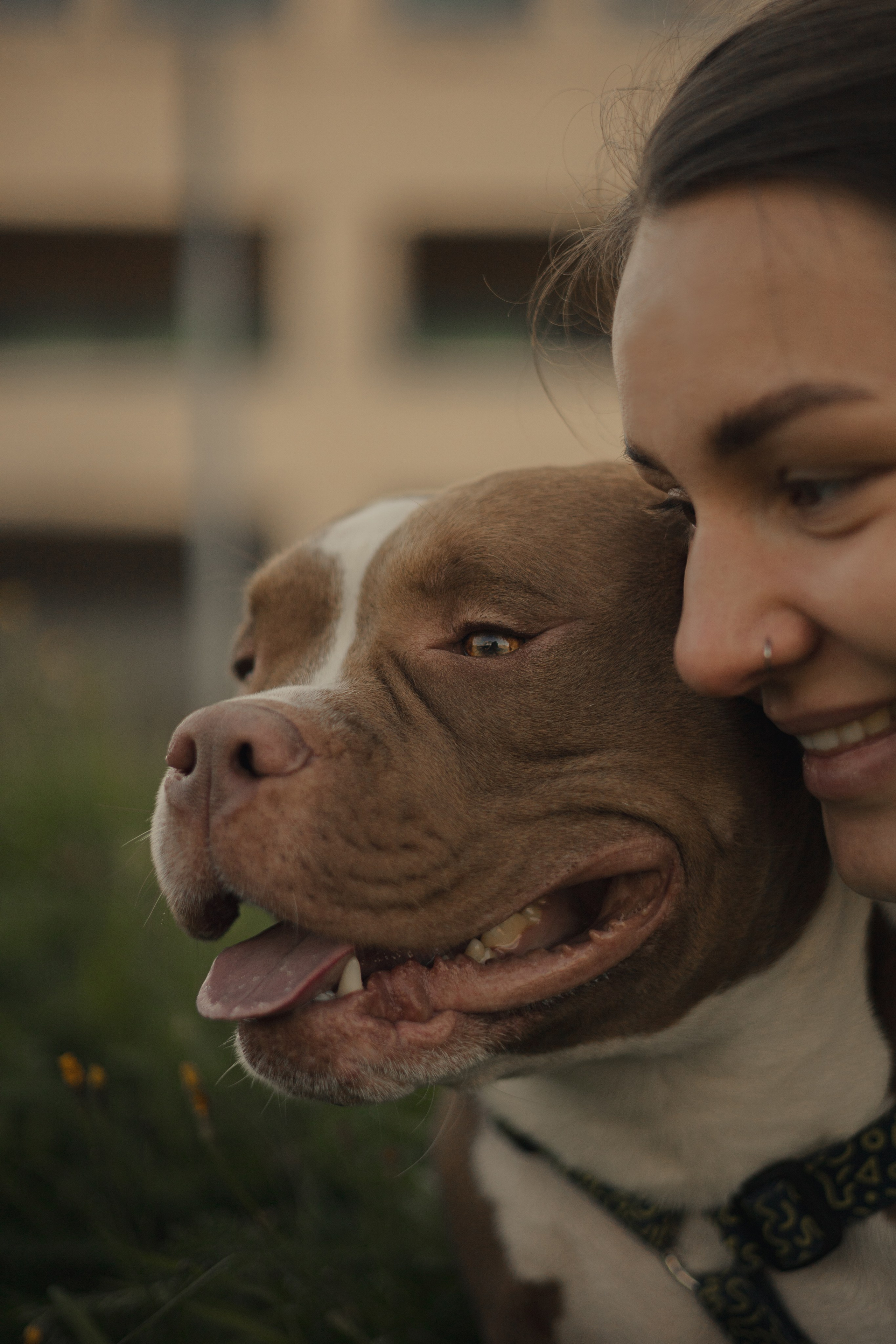 Анжела & Арес. Фотограф — анималист •love-story•|Санкт-Петербург