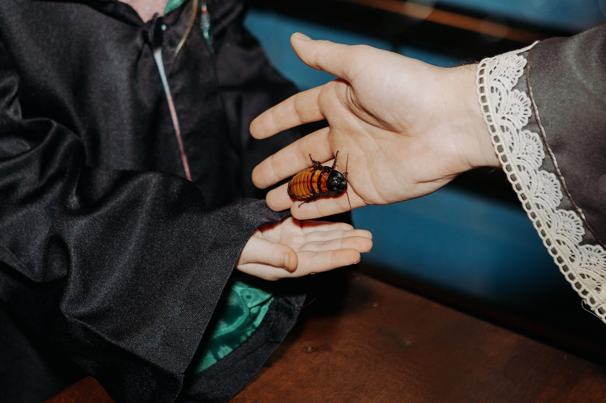 День рождения в стиле Гарри Поттера. Фотограф в Красноярске по выгодной цене