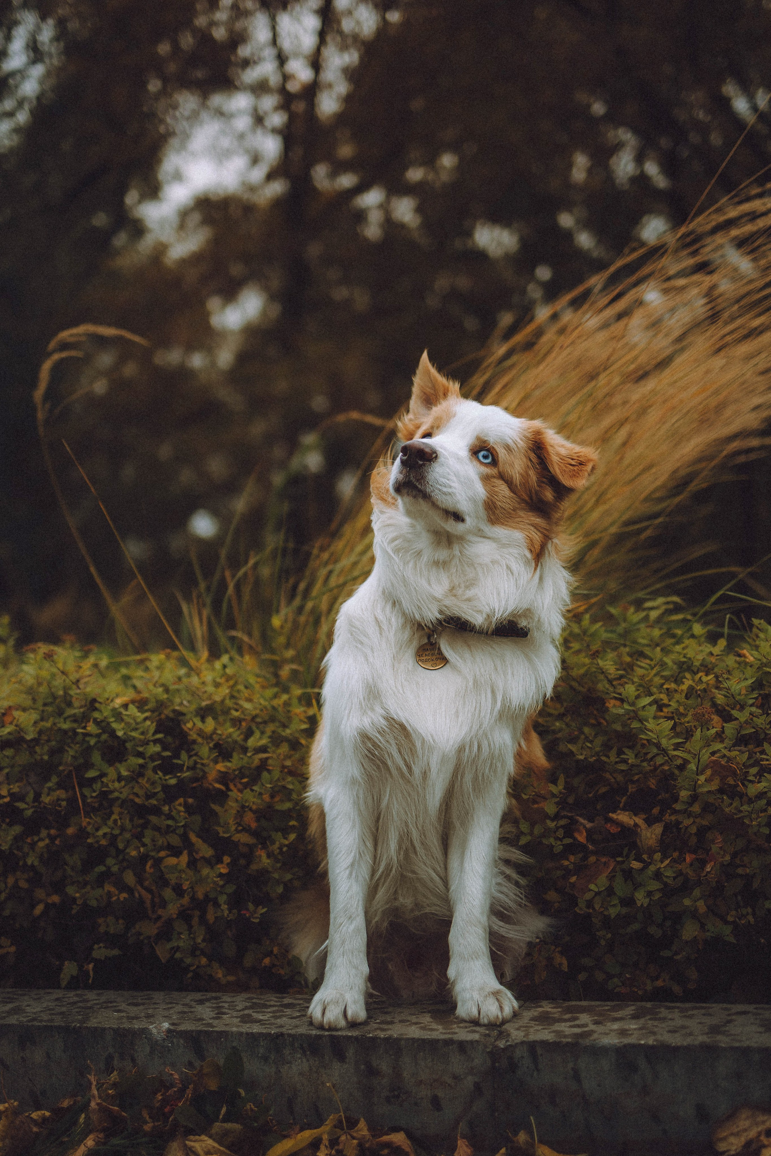 Алина, Витя и Асти