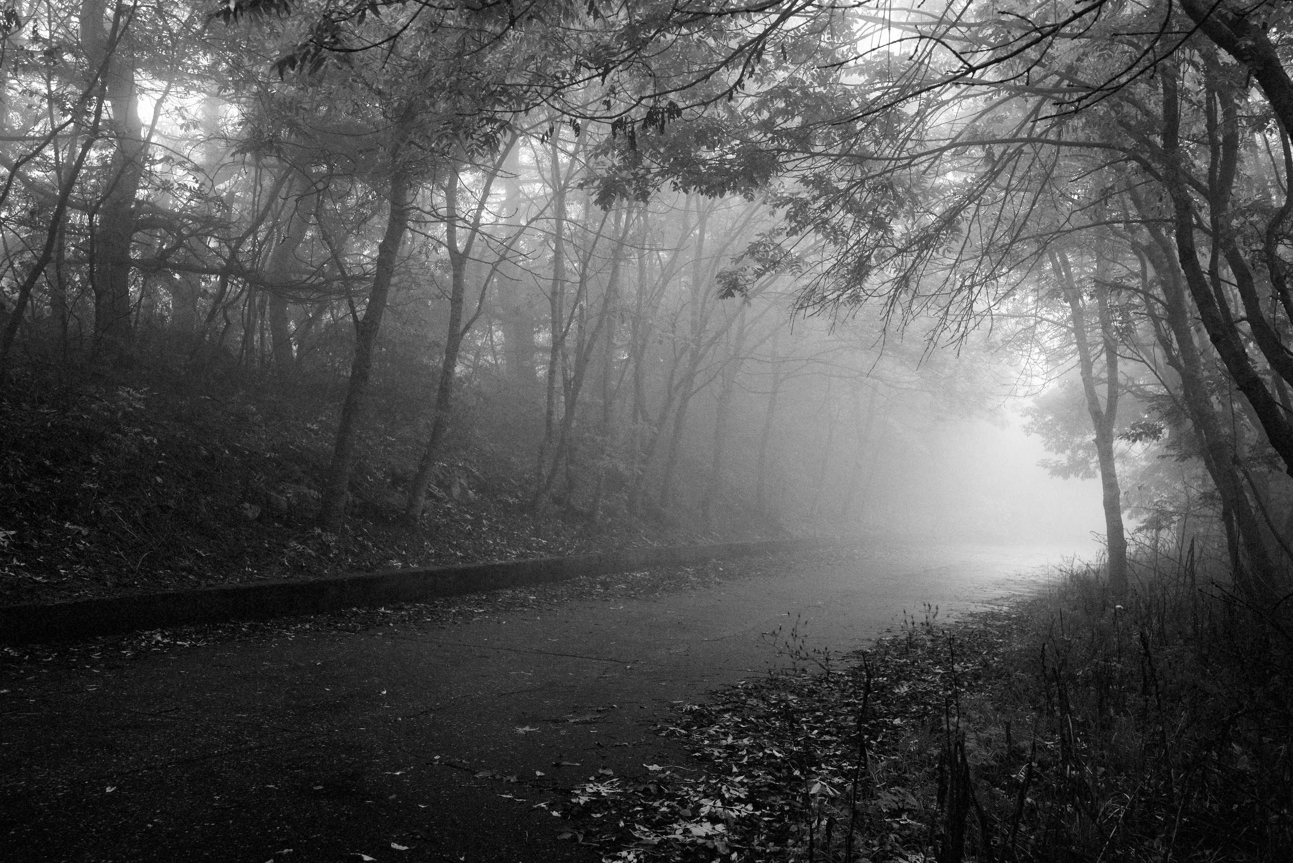 ПЕЙЗАЖ. Фотограф Николай Костюк