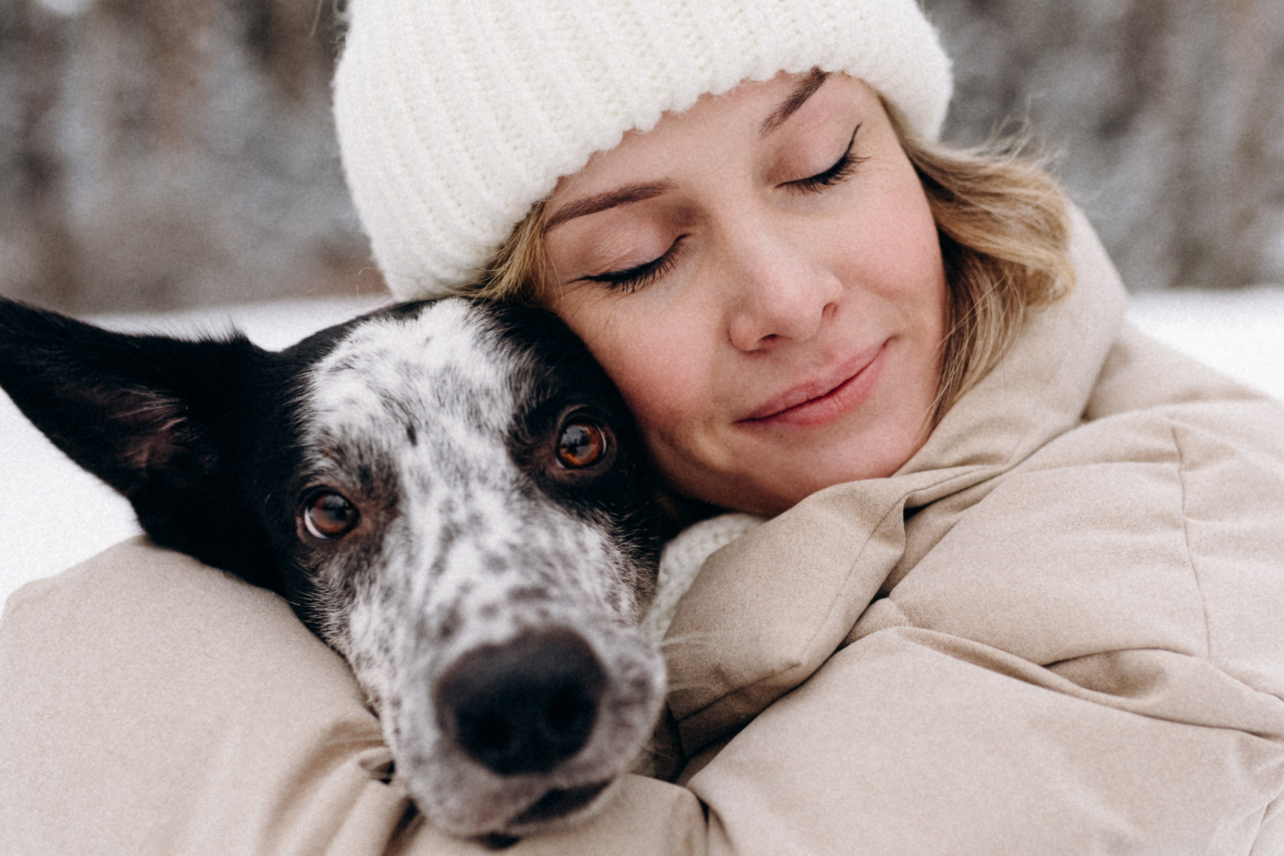 Аня и Милан. Фотограф анималист в Москве Ольга Агушева