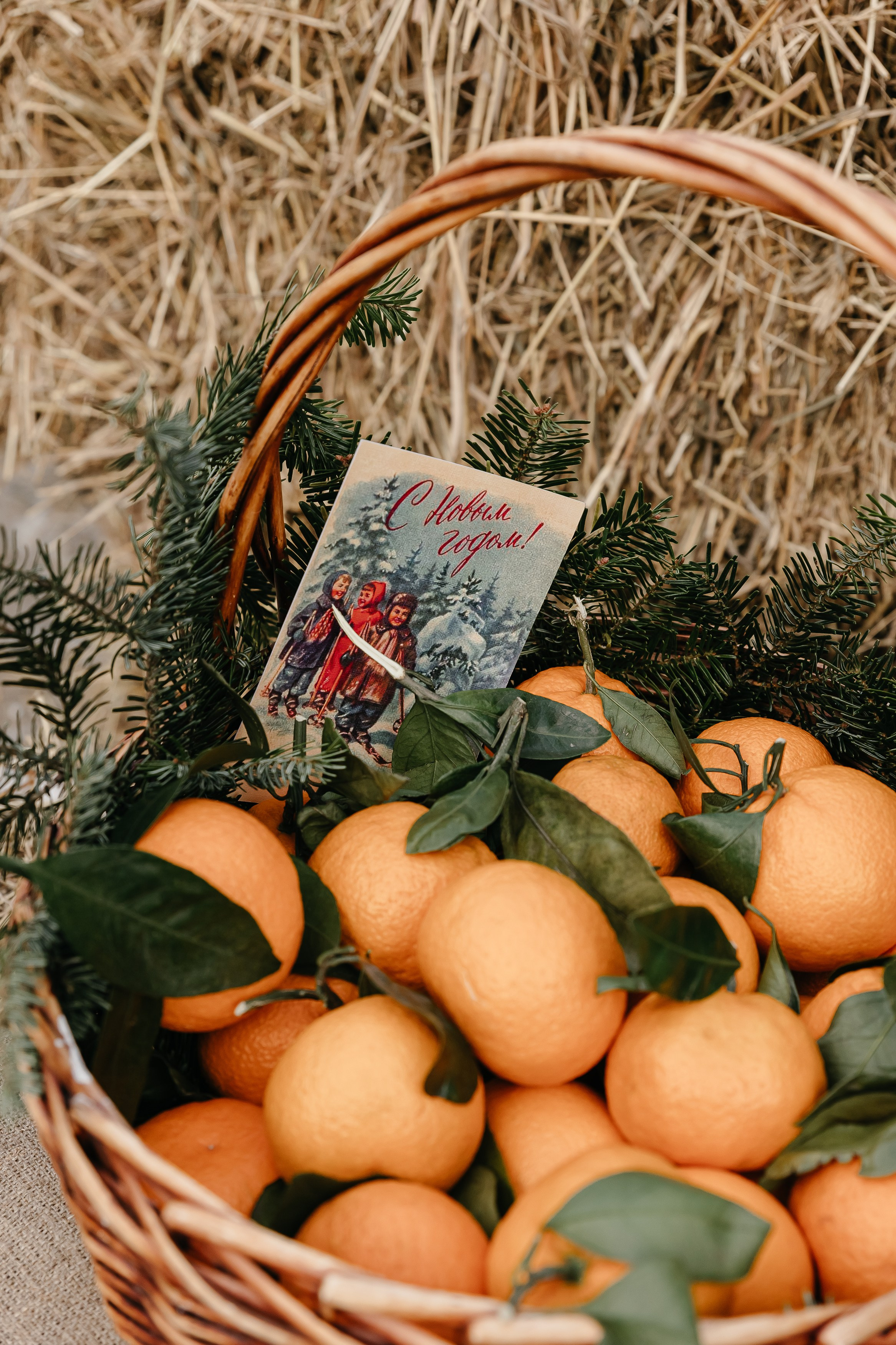 Ярмарка. Свадебный фотограф Москва, Воронеж