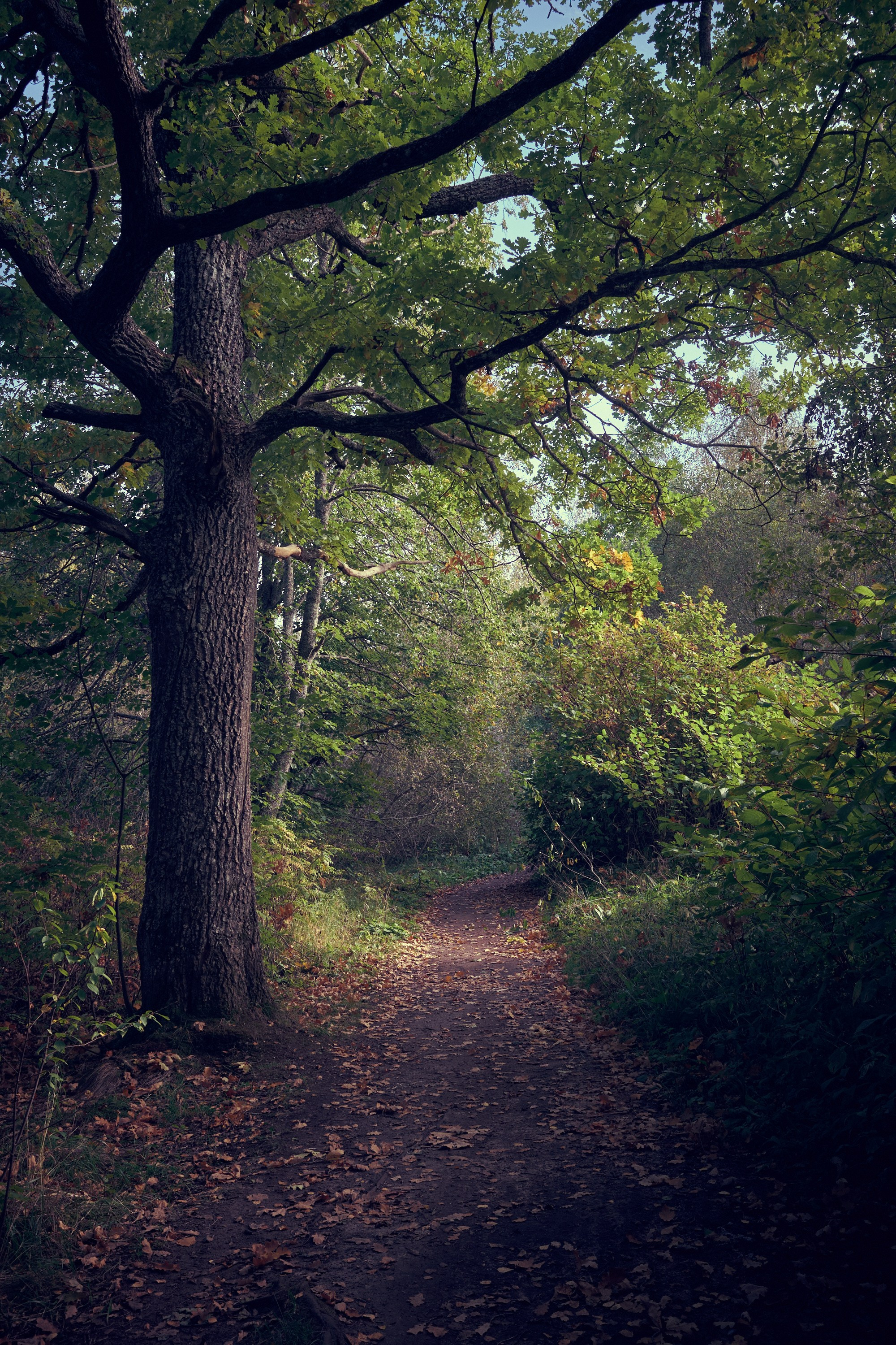 #мелкийжемчуг. Ольга Шкотова документальный фотограф
