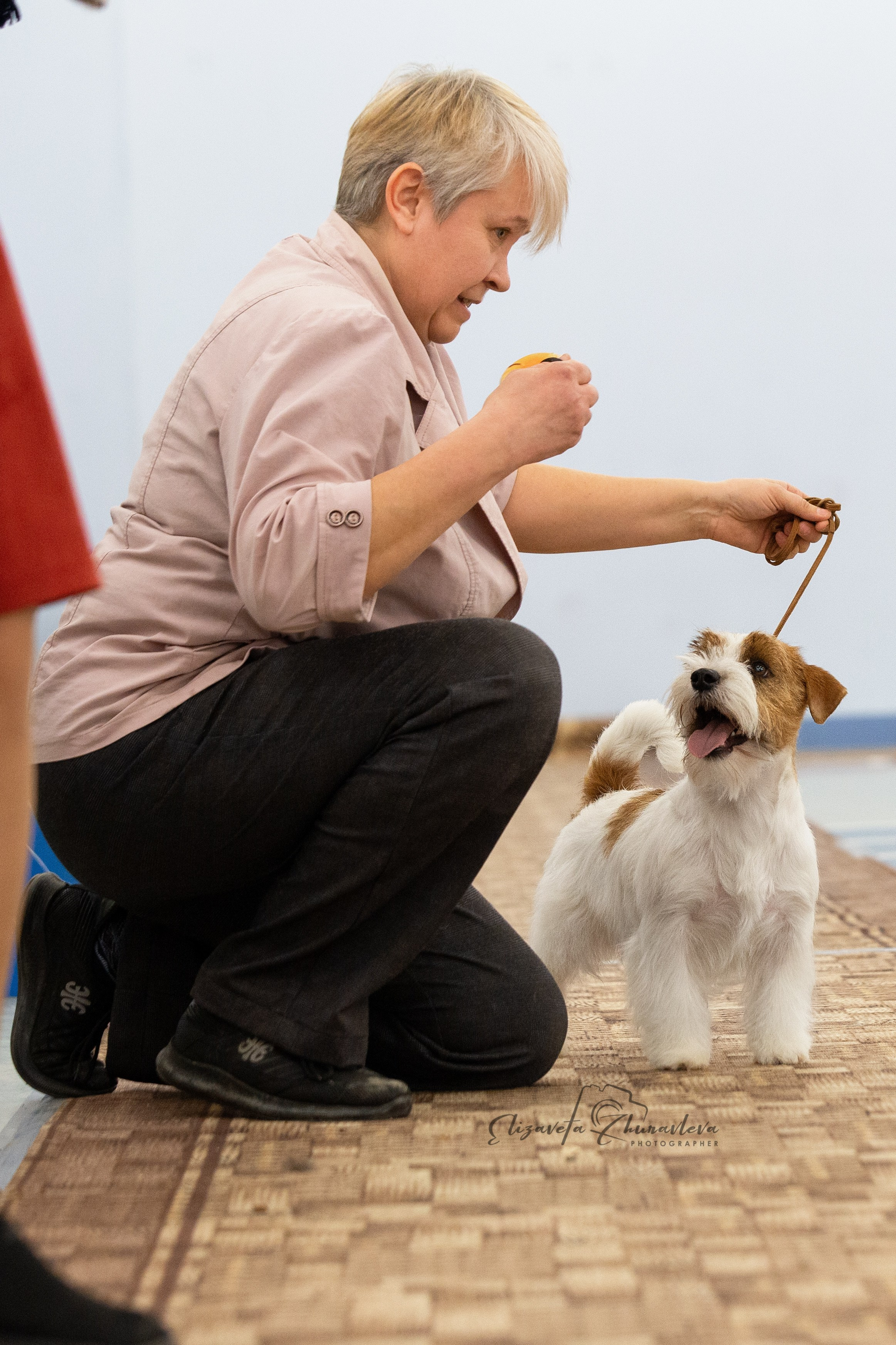 Port Fortis Zoom Zoom