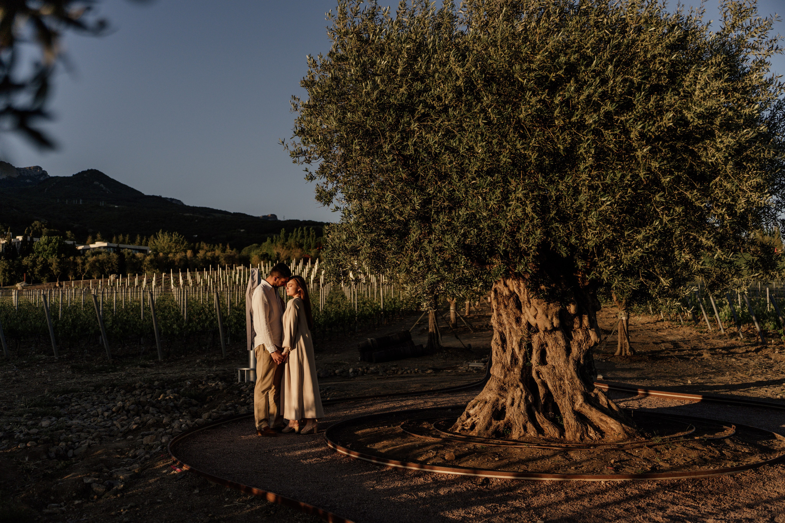 Винный парк (территория отеля Мрия). Фотограф и Видеограф Севастополь Крым