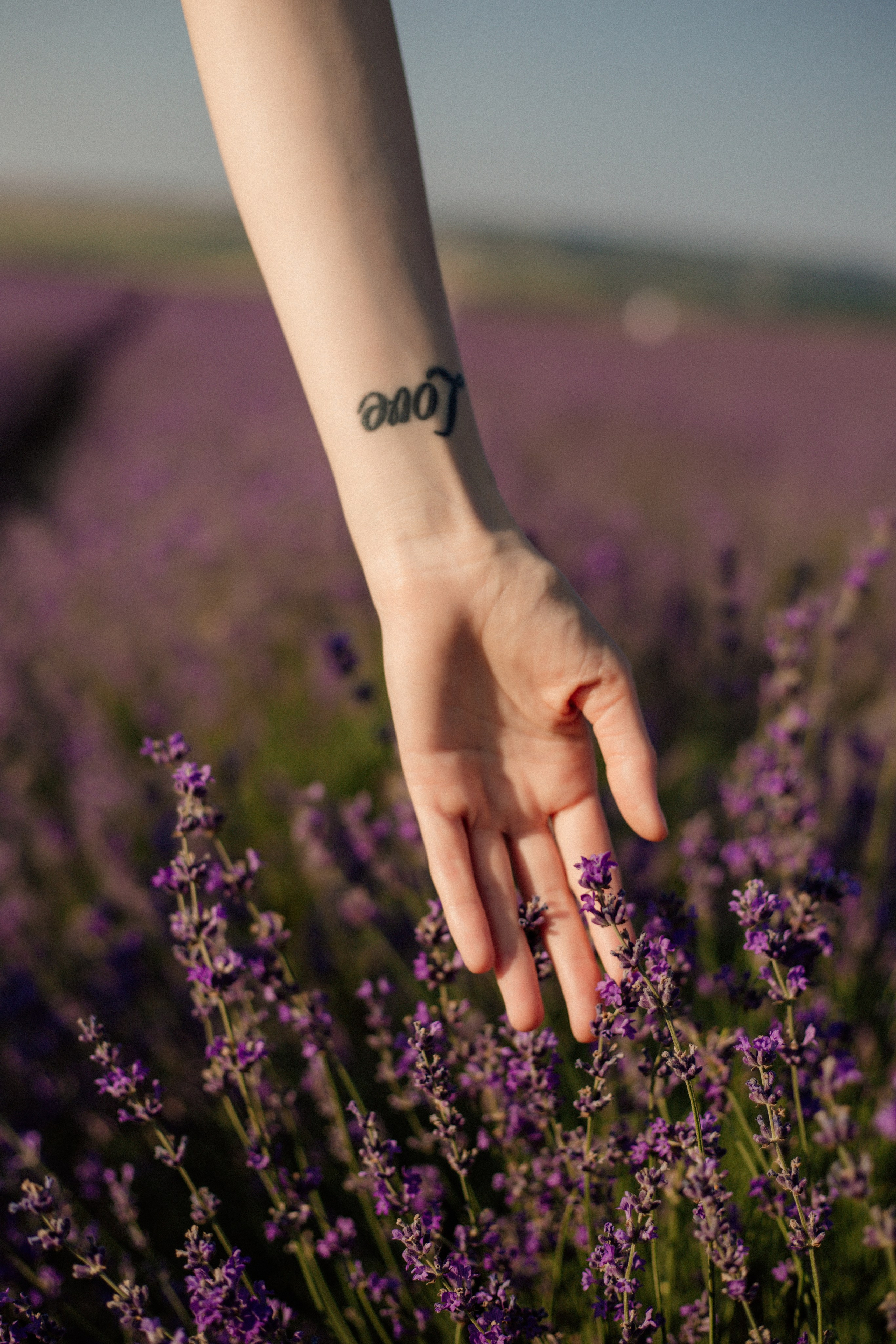 Лаванда. Фотограф и Видеограф Севастополь Крым