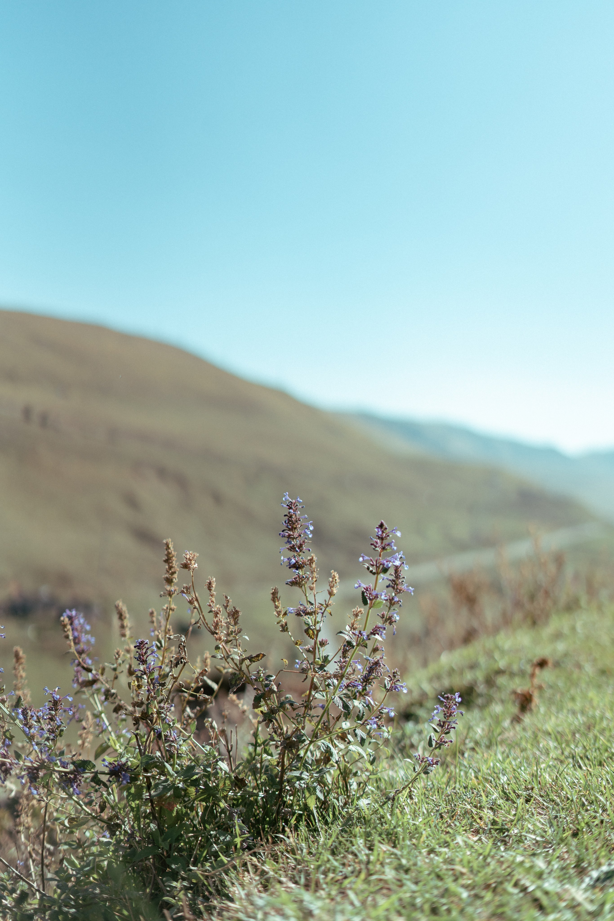Эльбрус. Фотограф Александра Волкова | Волгоград