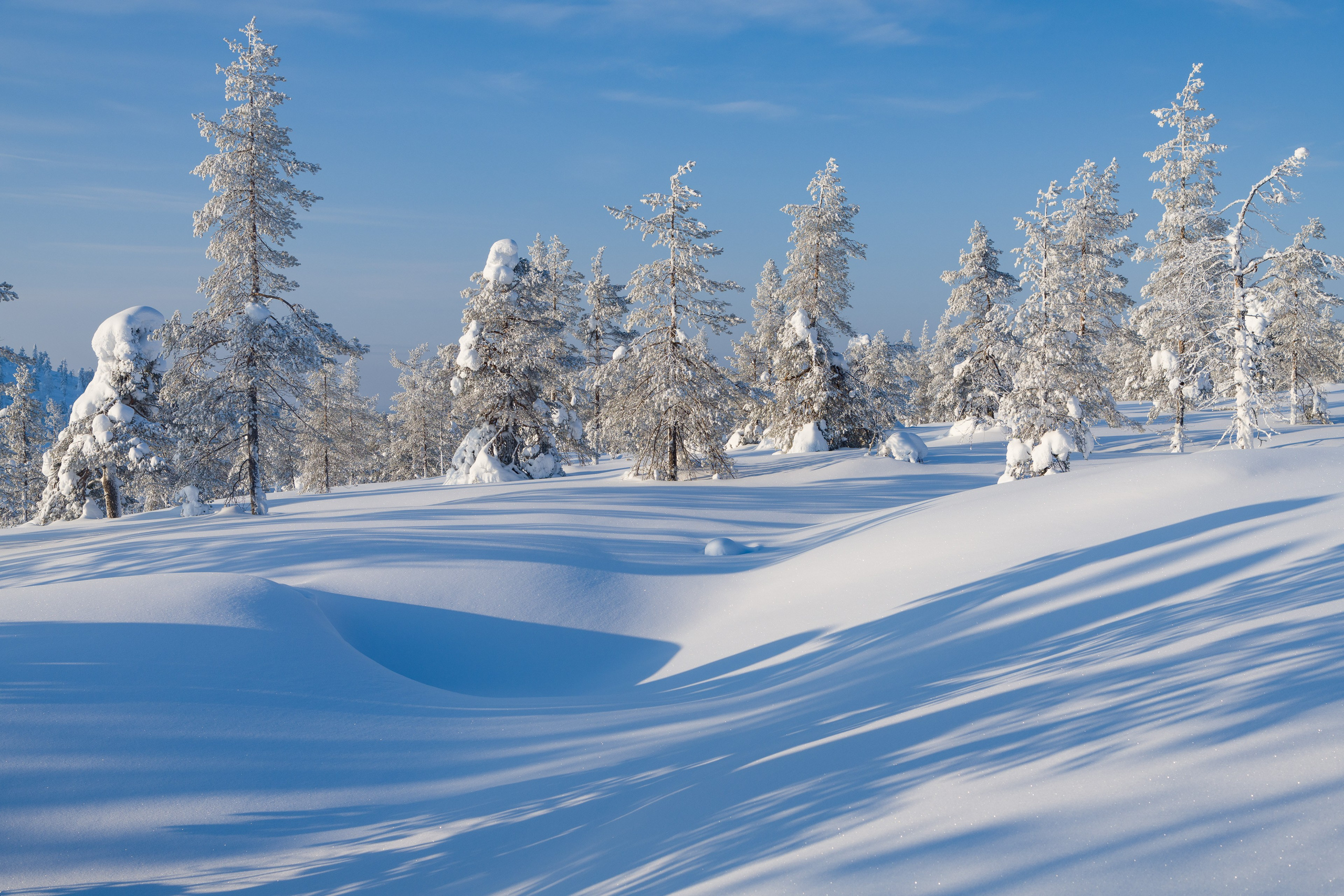 Зима. Северные Ночи