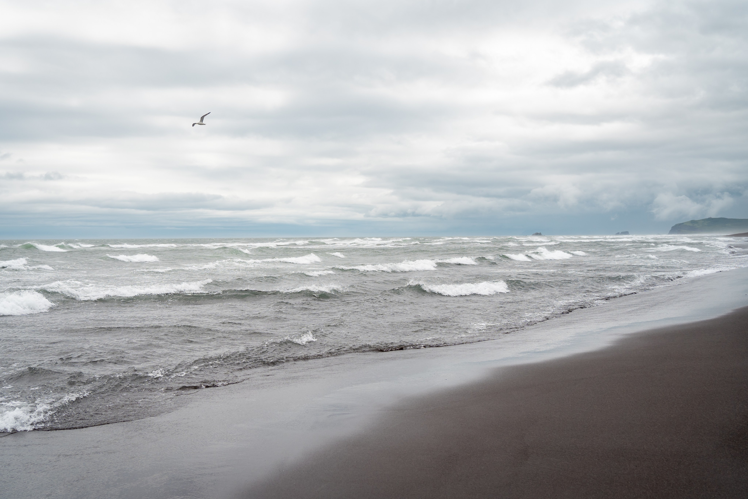 Камчатка. Семейный фотограф Варвара Сорока в городе Москве