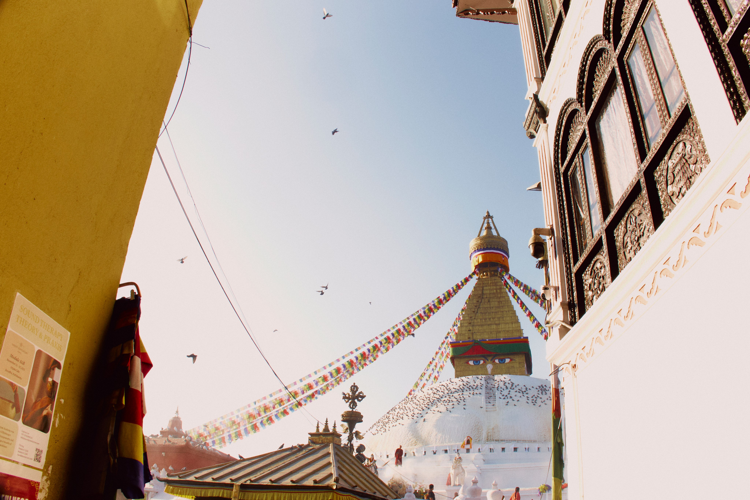 TRAVEL. EVGENYA PERESADOVA