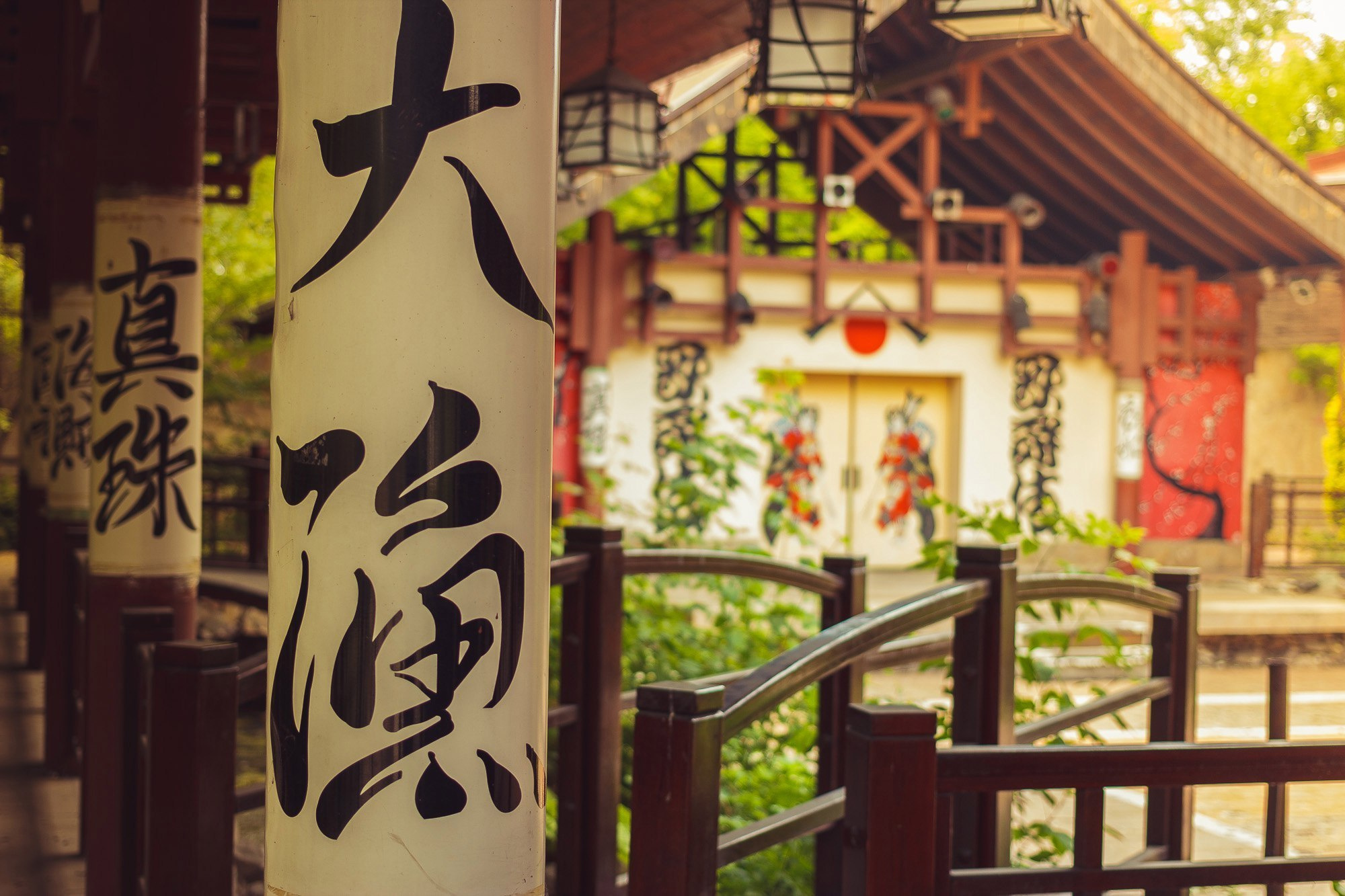 Фотопроект "Принцесса Азии", фотографа Аксенова Алексея. Бизнес, мужской фотограф в Краснодаре | Аксёнов Алексей Владимирович