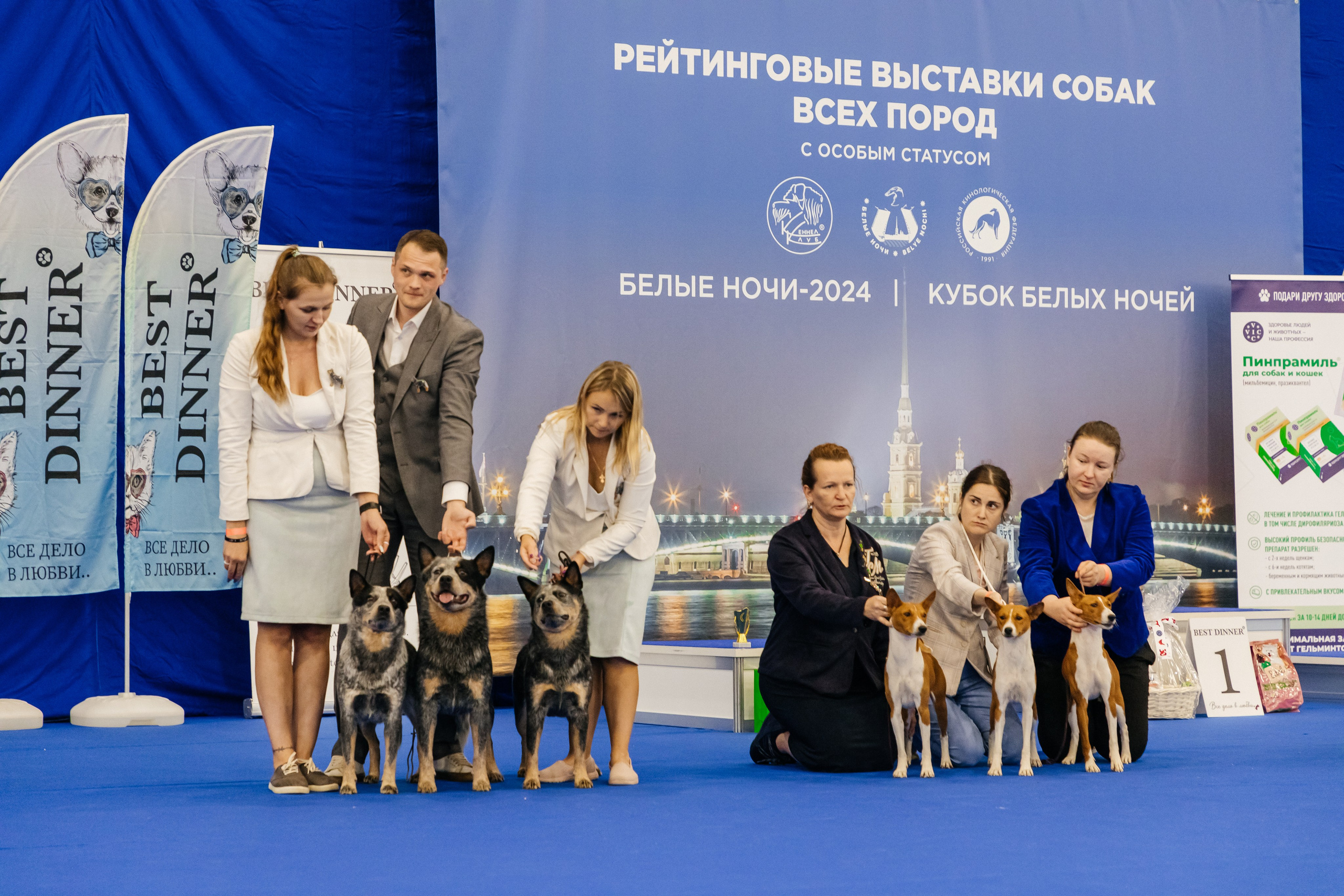 Зоошоу. Экспофорум 31.08. Выставка домашних животных. Семейный фотограф в Санкт-Петербурге Ева Маркова