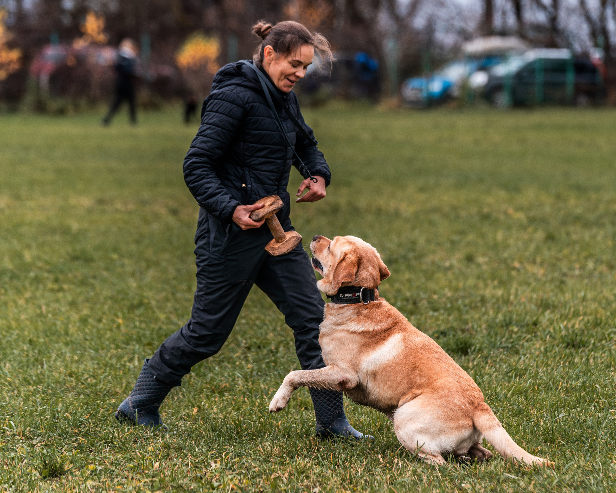 МЫ — КОМАНДА (соревнования) OKD, BH, IBGH, IGP. Фотограф-анималист, семейный фотограф в Москве и Подмосковье. Фотосъёмка кинологических дисциплин