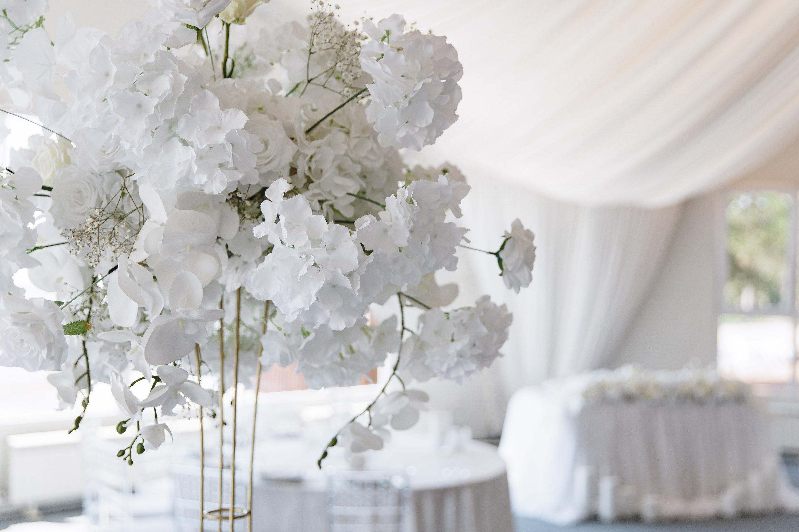 Арамаис и Камелия. Wedding photographer in St. Petersburg, Europe and Israel Anna Agafon