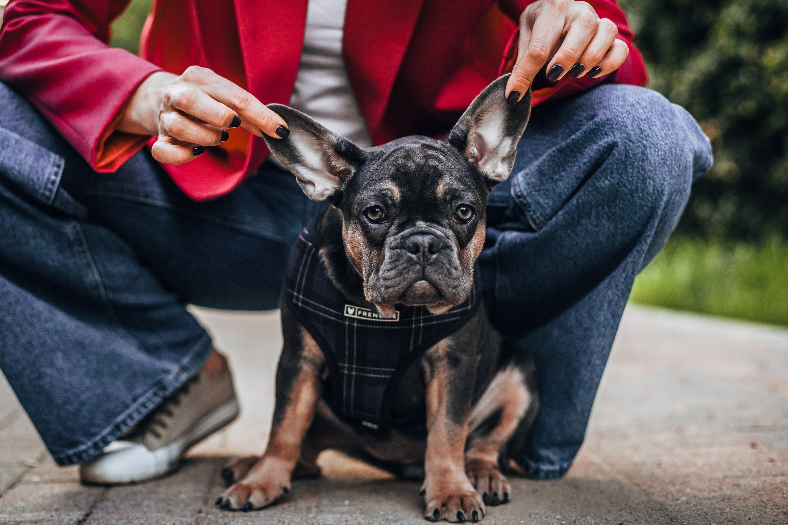 Даша и Мишель. Фотограф-анималист Татьяна Степанова